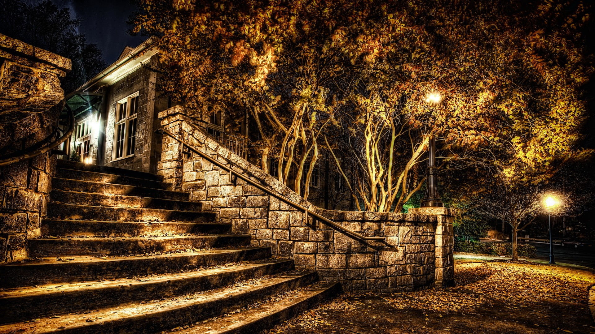 track, transport, steps and staircases, night, 1080P, city, the way forward, outdoors, nature, building, connection, railroad, tree, plant, no people, HD Wallpaper