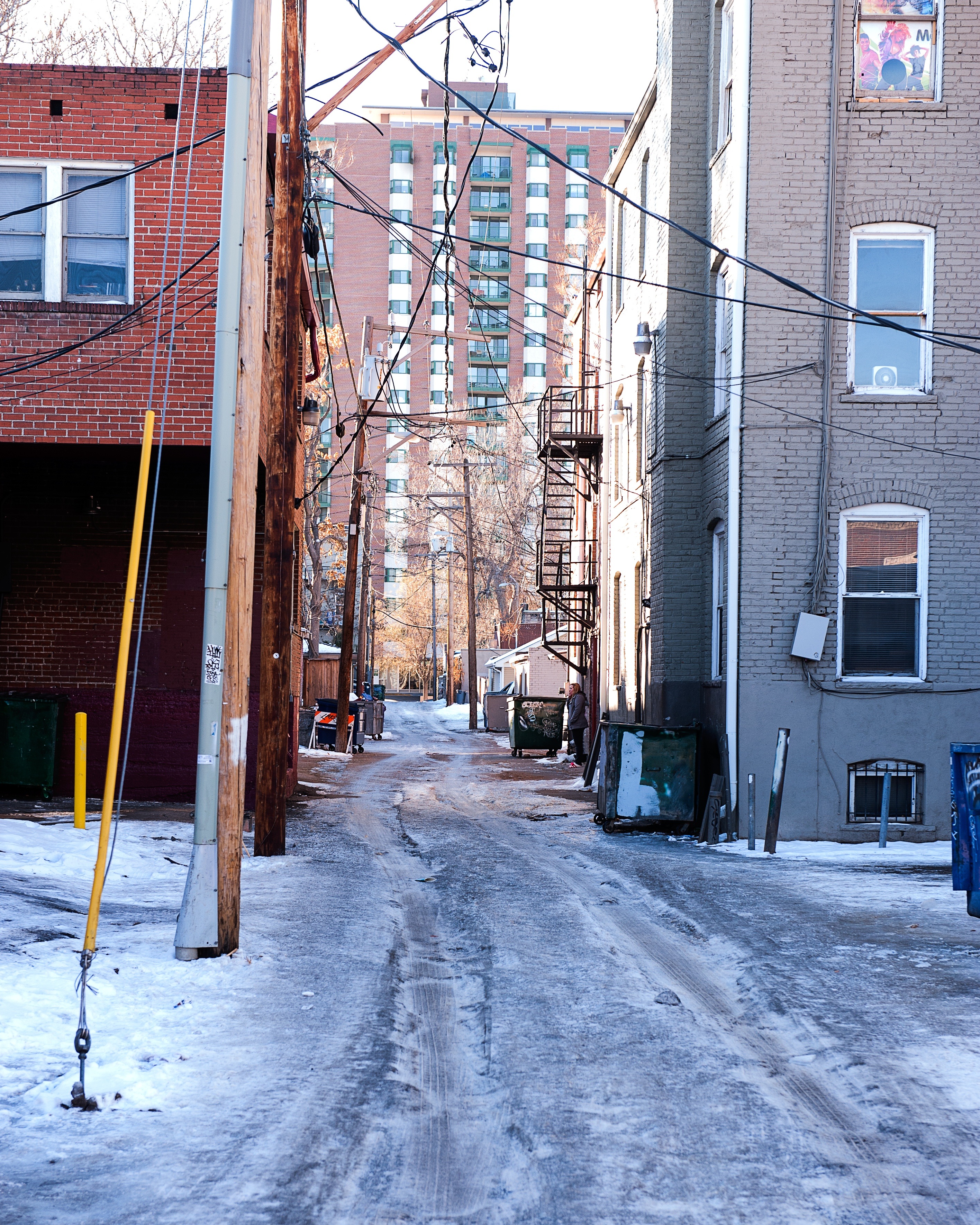 urban, covering, no people, cold, nature, colorado, architecture, winter, built structure, residential district, tree, day, gray, frozen, passageway, 2K, Phone HD Wallpaper