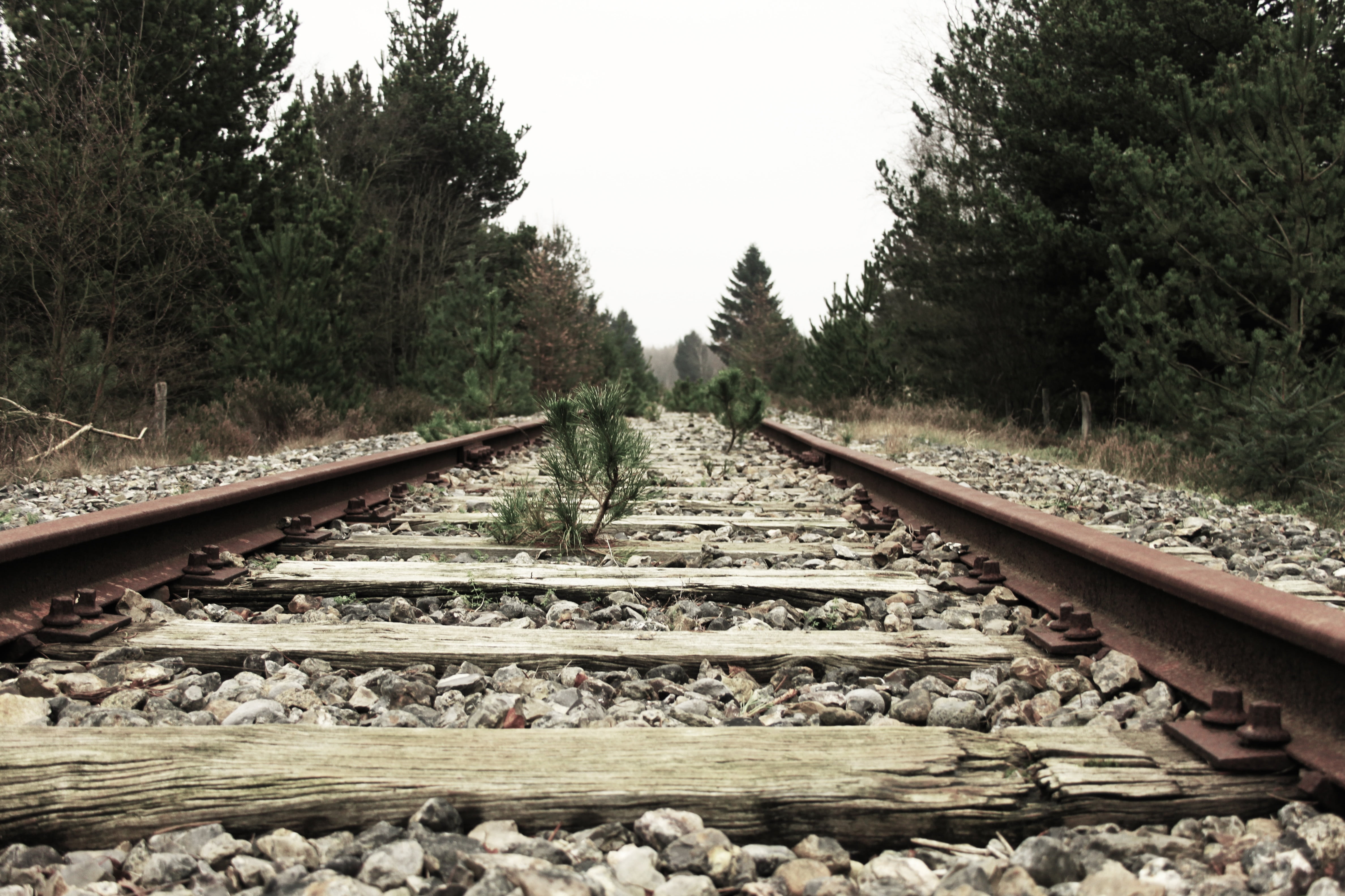 wood, gravel, vanishing point, surface level, straight, transportation, tranquil scene, steel, land, outdoors, trees, track, diminishing perspective, metal, HD Wallpaper