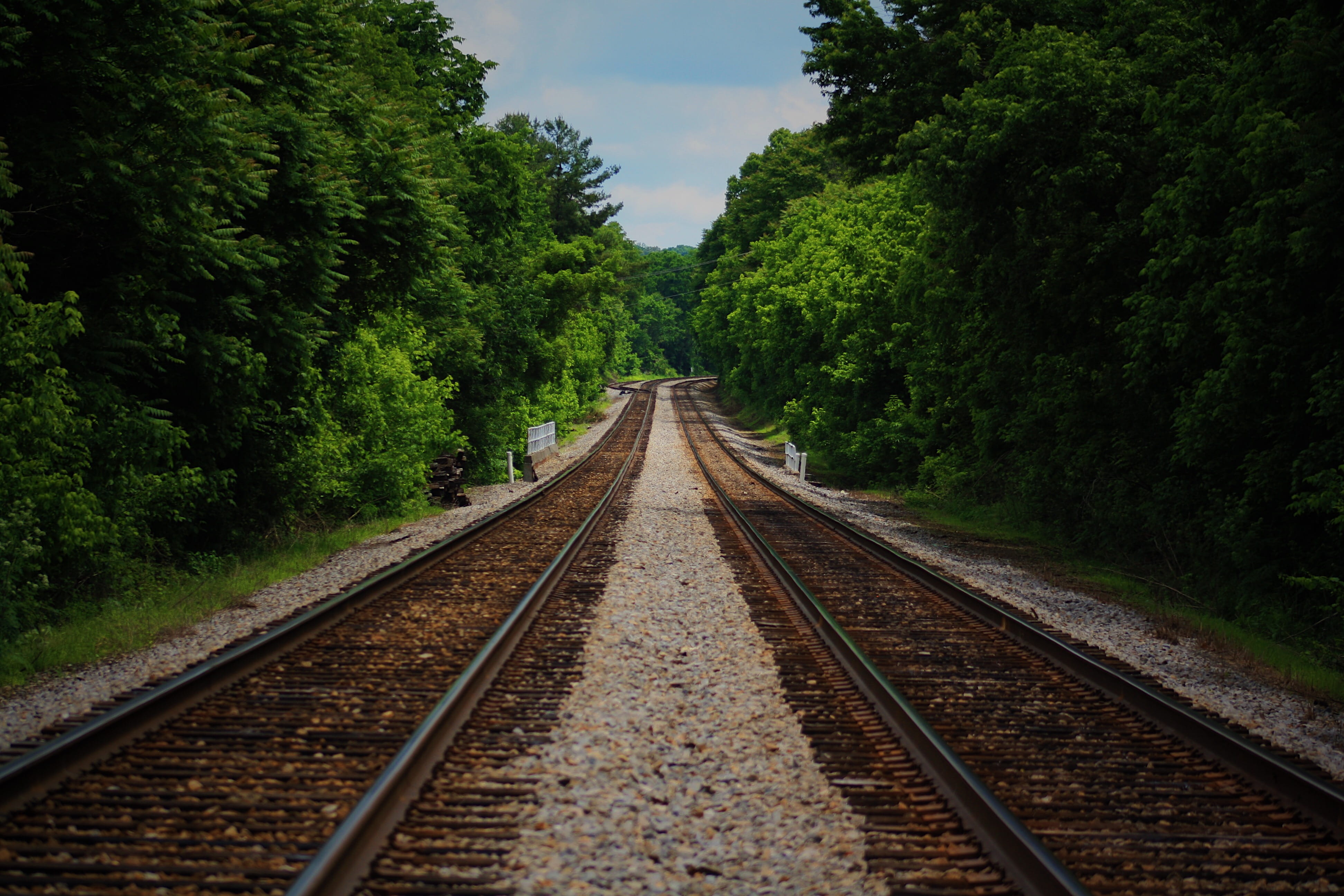 forward, track, day, outdoors, distance, daylight, brown, transportation, green, train tracks, tree, locomotive, wood, connection, nature, trees, travel, HD Wallpaper