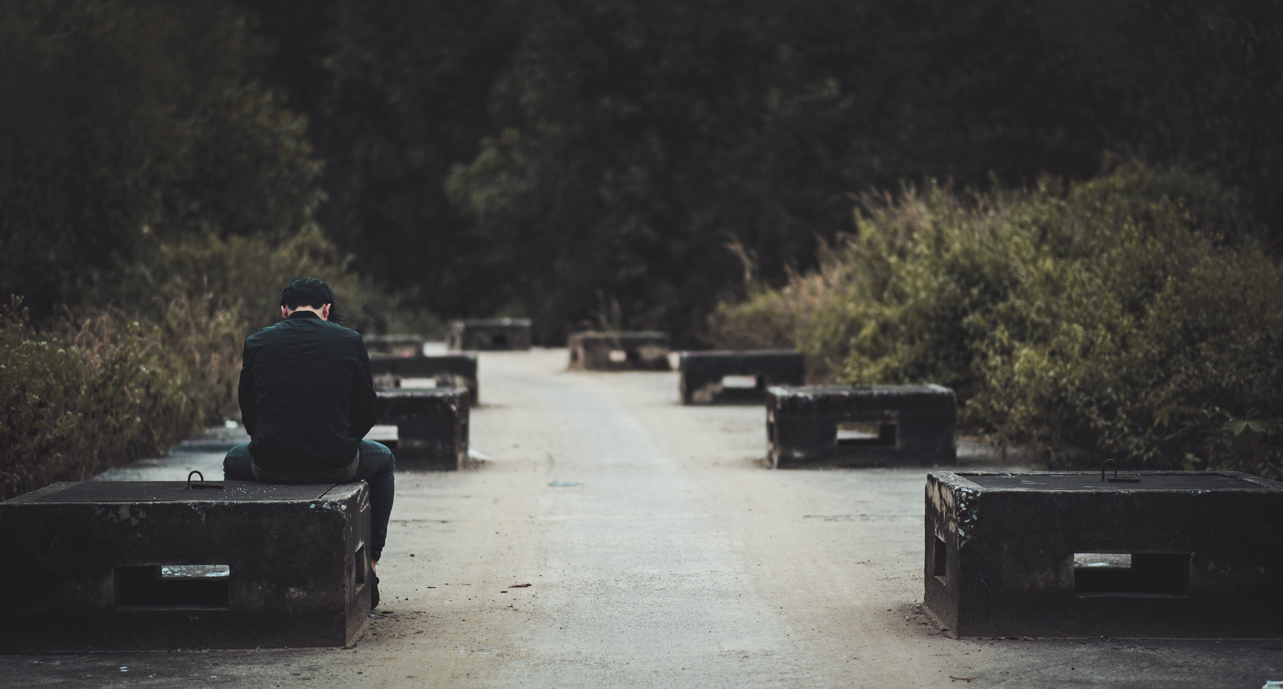 weather, black, tree, sad, plant, vietnam, road, problem, rear view, forest, adult, outdoors, leisure activity, bench, man, environment, landscape, shirt, HD Wallpaper
