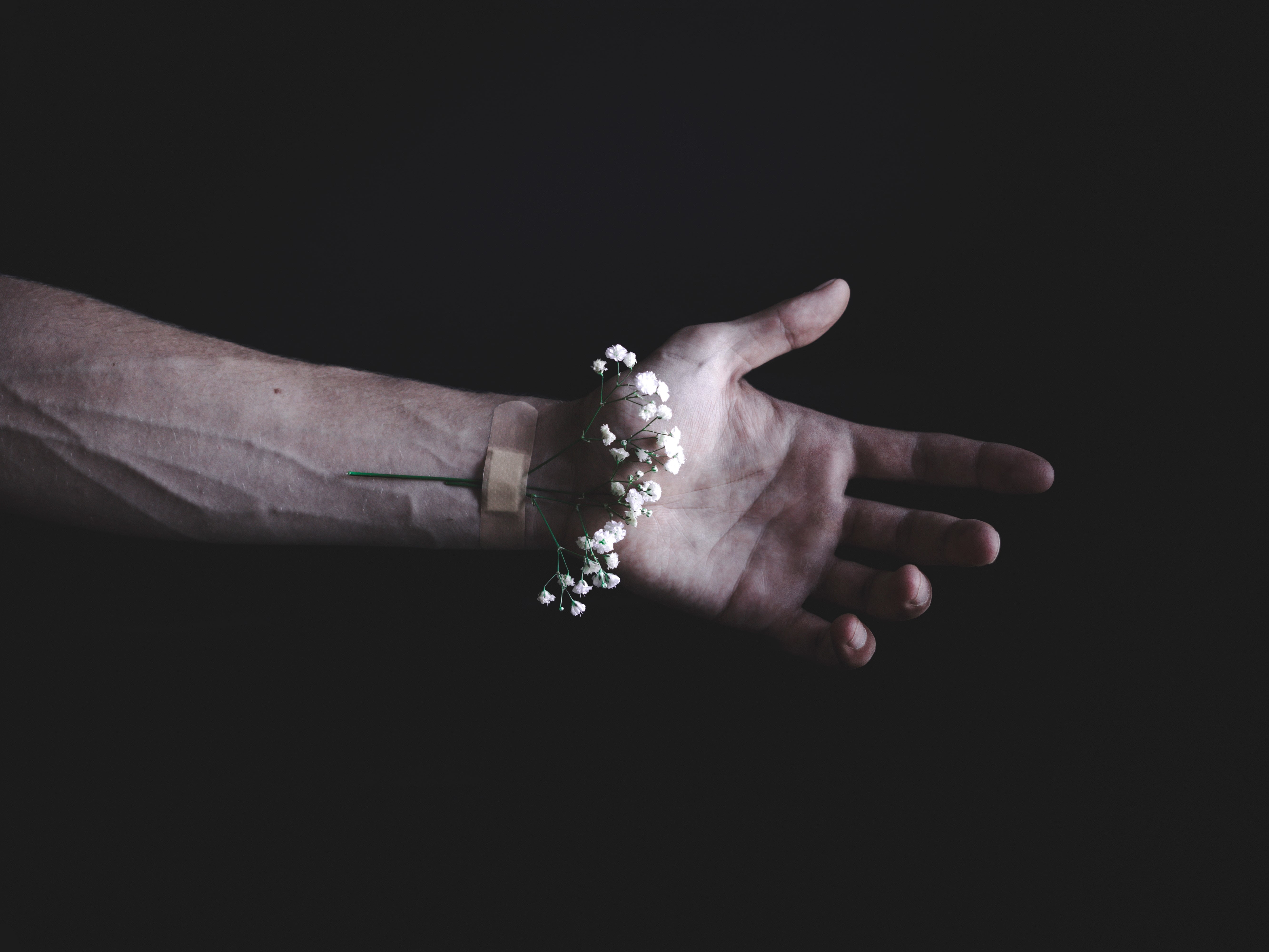 5K, finger, isolated, black Color, plaster, religion, studio shot, spirituality, human Finger, bracelet, men, human Hand, human body part, breath, christianity, HD Wallpaper
