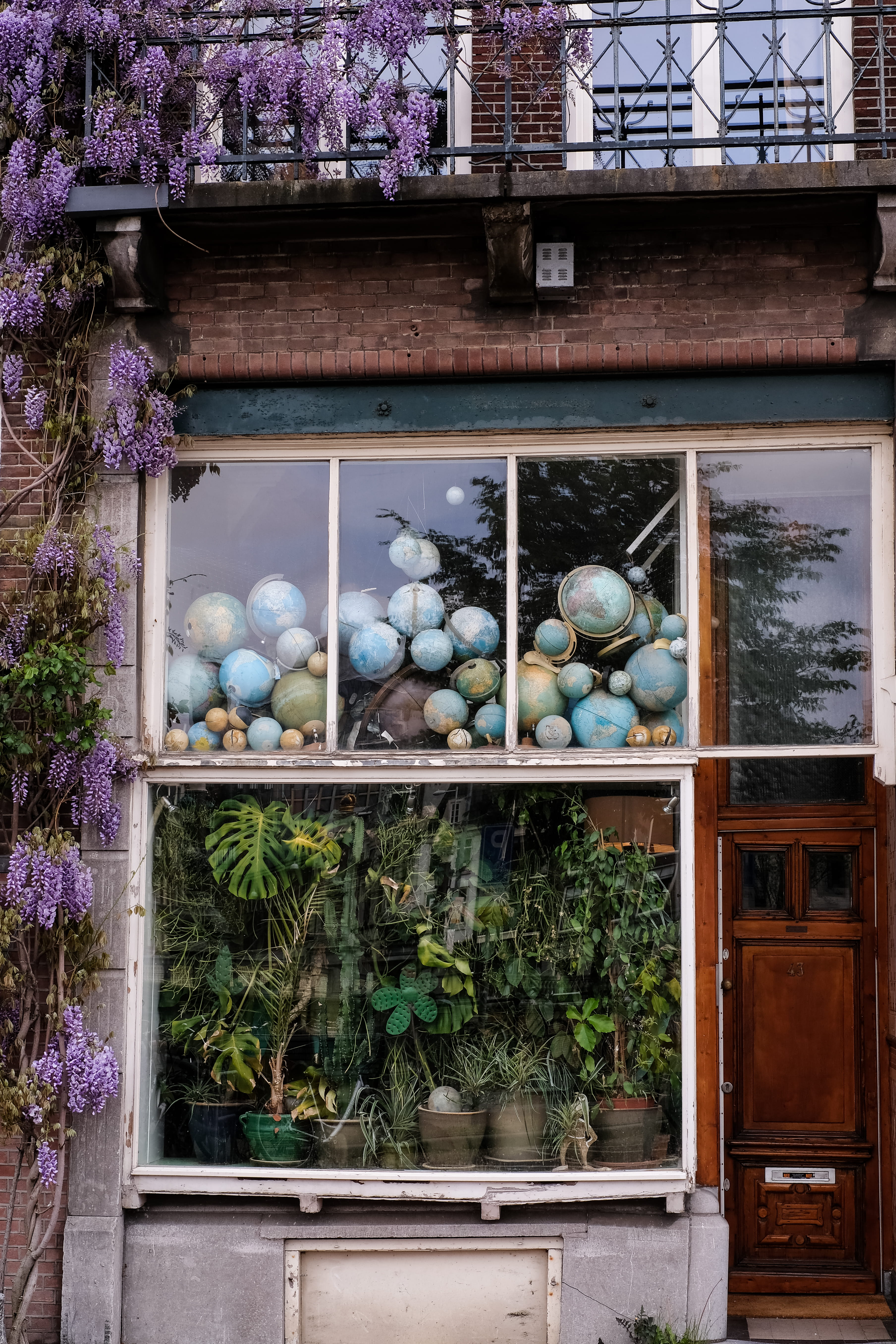 different, near, growth, plant, architecture, potted plant, city, house, plants, sustainable, 5K, green life, built structure, flower, jungle, vintage, Phone HD Wallpaper