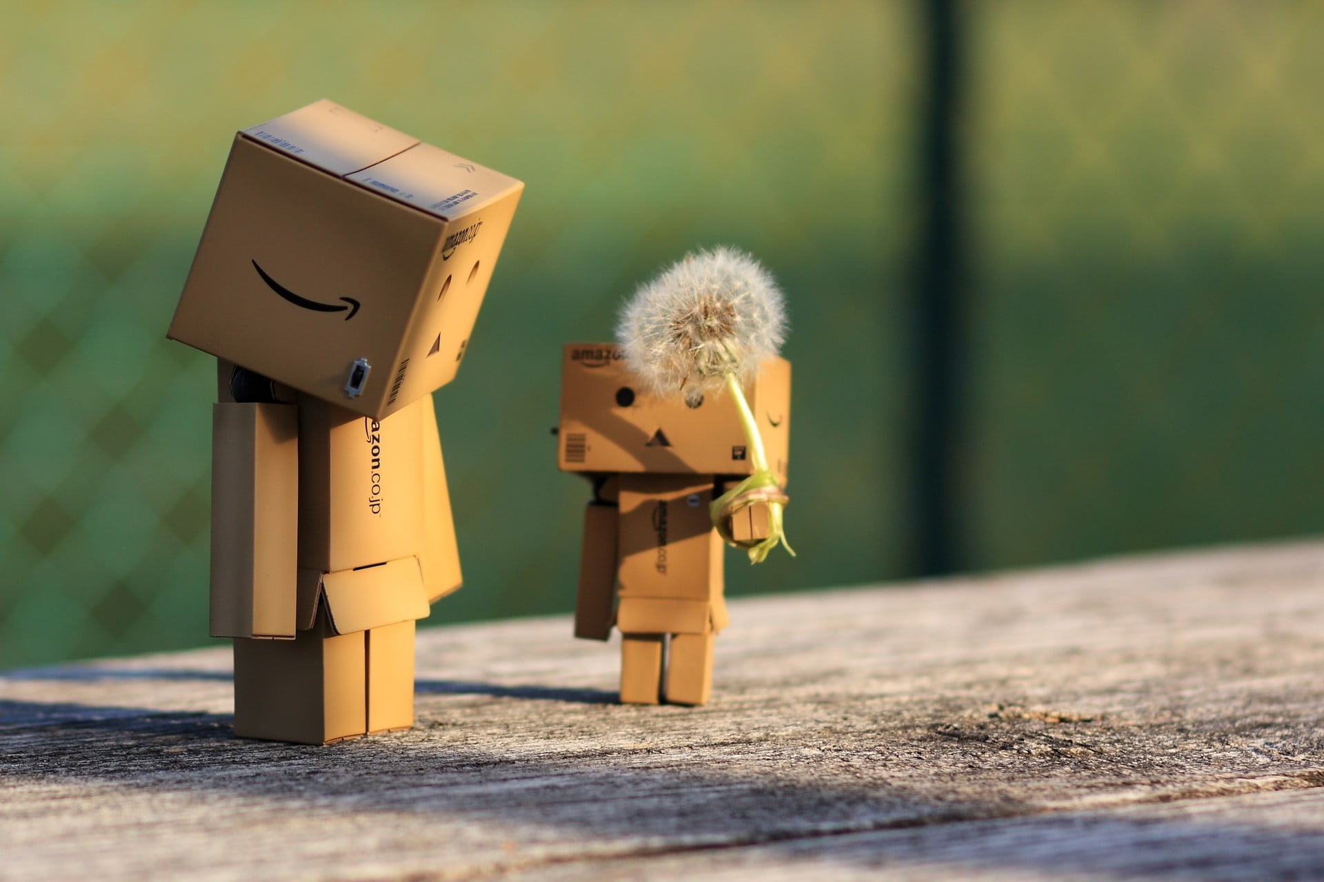 cardboard robot, security, two, outdoors, small, carton, danbo, cute, safety, protection, backgrounds, nature, wood - Material, 1080P, key, dandelion, HD Wallpaper
