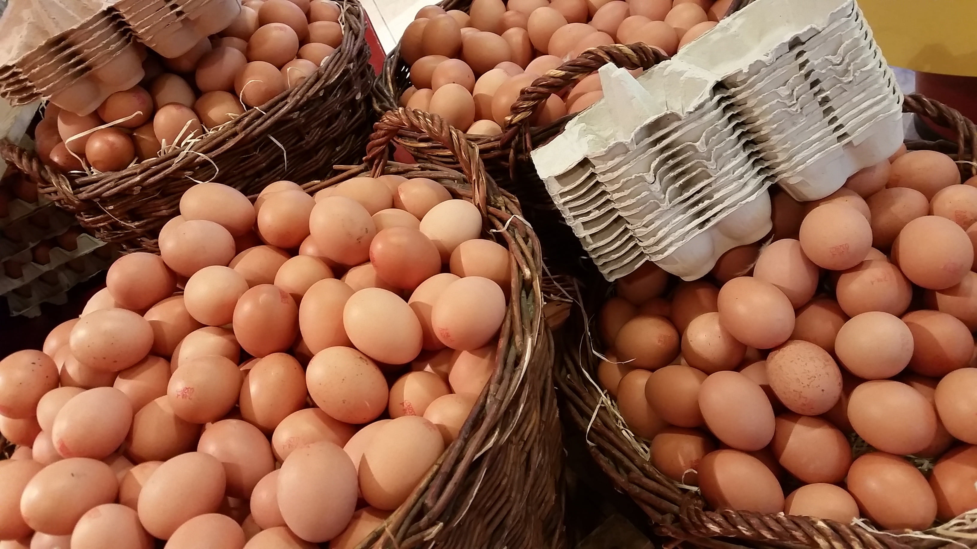 chicken, high angle view, egg, business, variation, holland, market, no people, sale, retail display, food and drink, baskets, container, wellbeing, for sale, HD Wallpaper