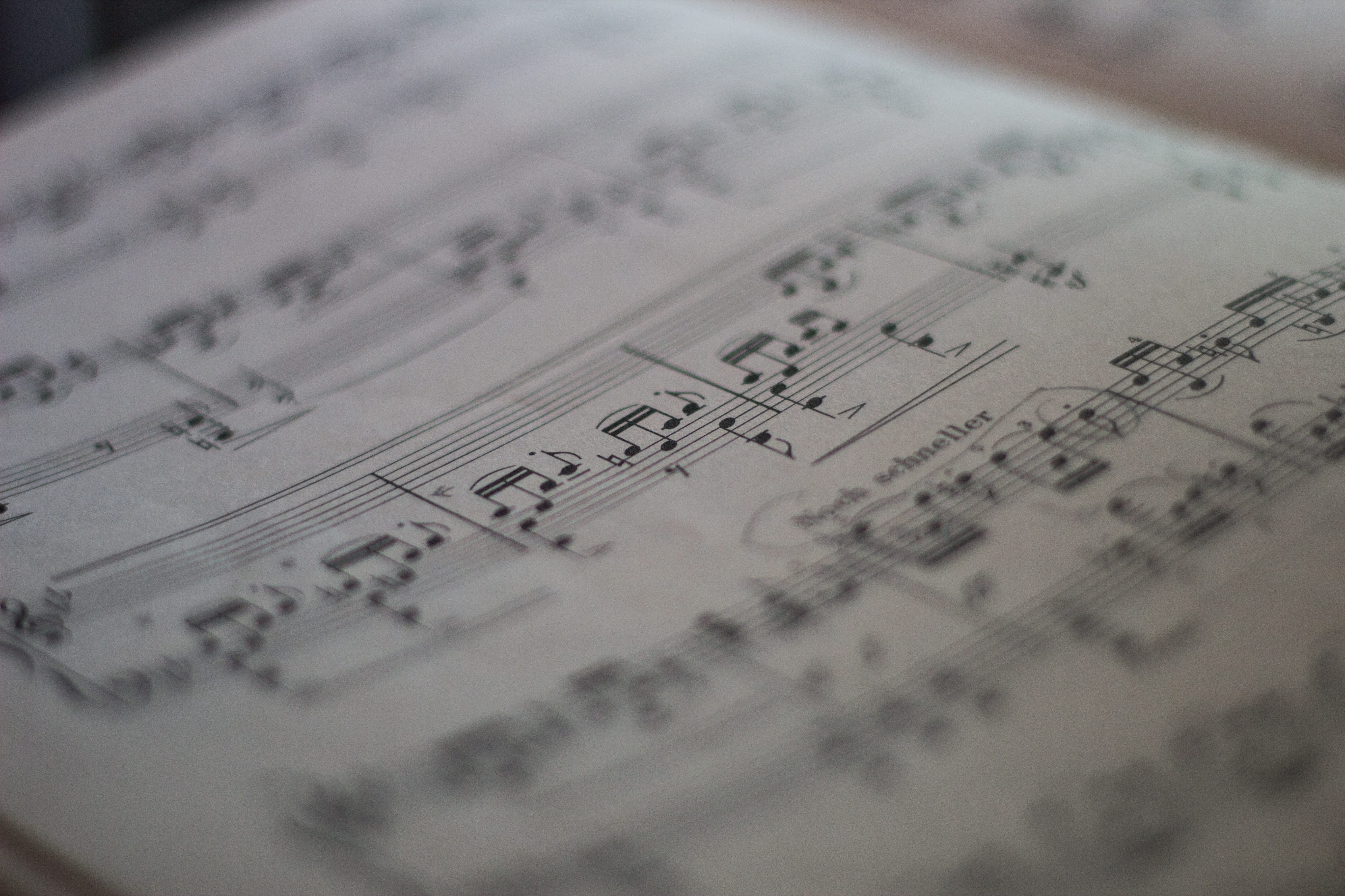 musical, indoors, book, mozart, nuts, paperwork, classical music, sheet music, close-up, selective focus, music notes, accuracy, text, document, beethoven, HD Wallpaper
