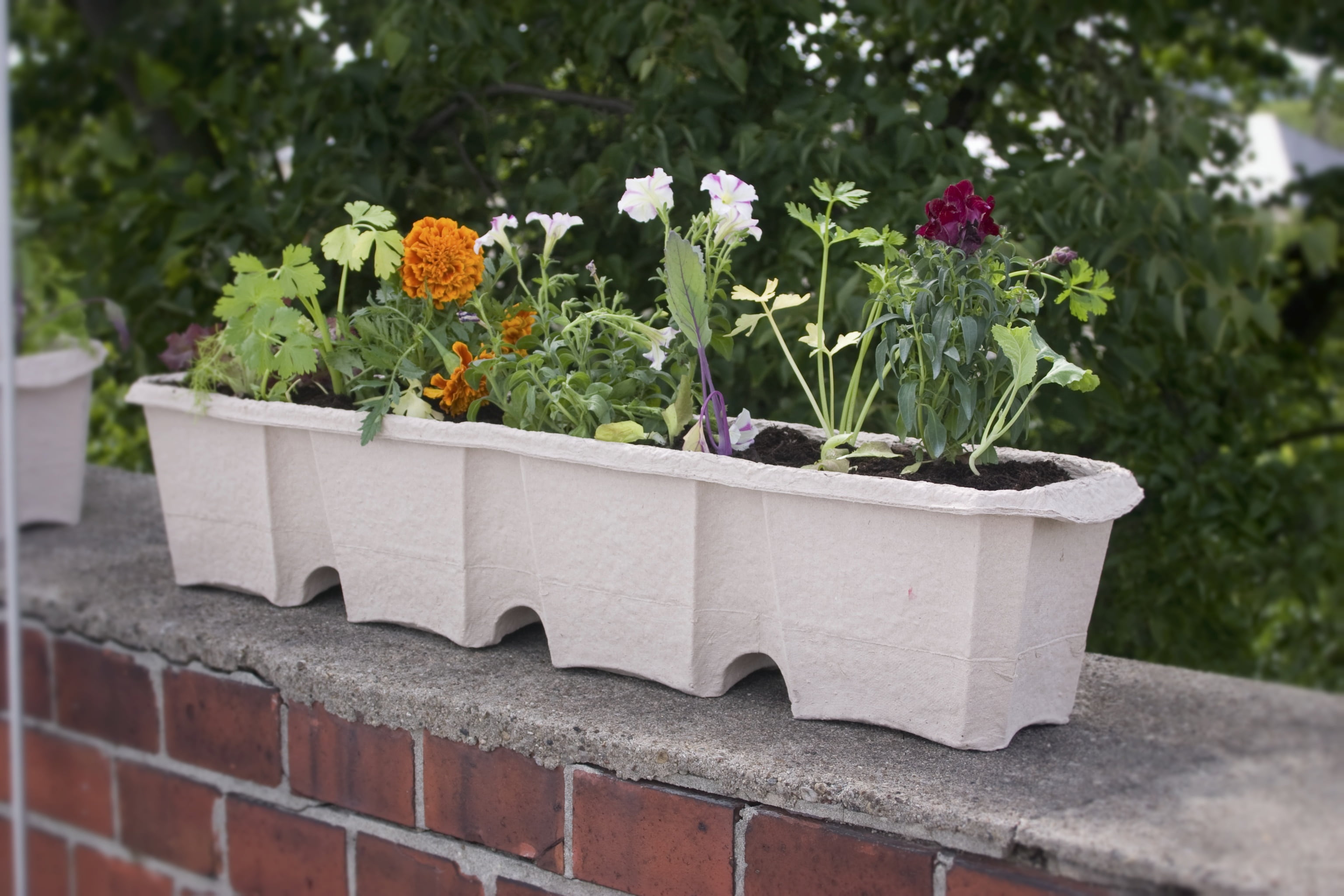 guerilla gardening, flower head, nature, waste paper, art and craft, flowers crate, flowering plant, green color, flower, multi colored, gardening, flowerpot, HD Wallpaper