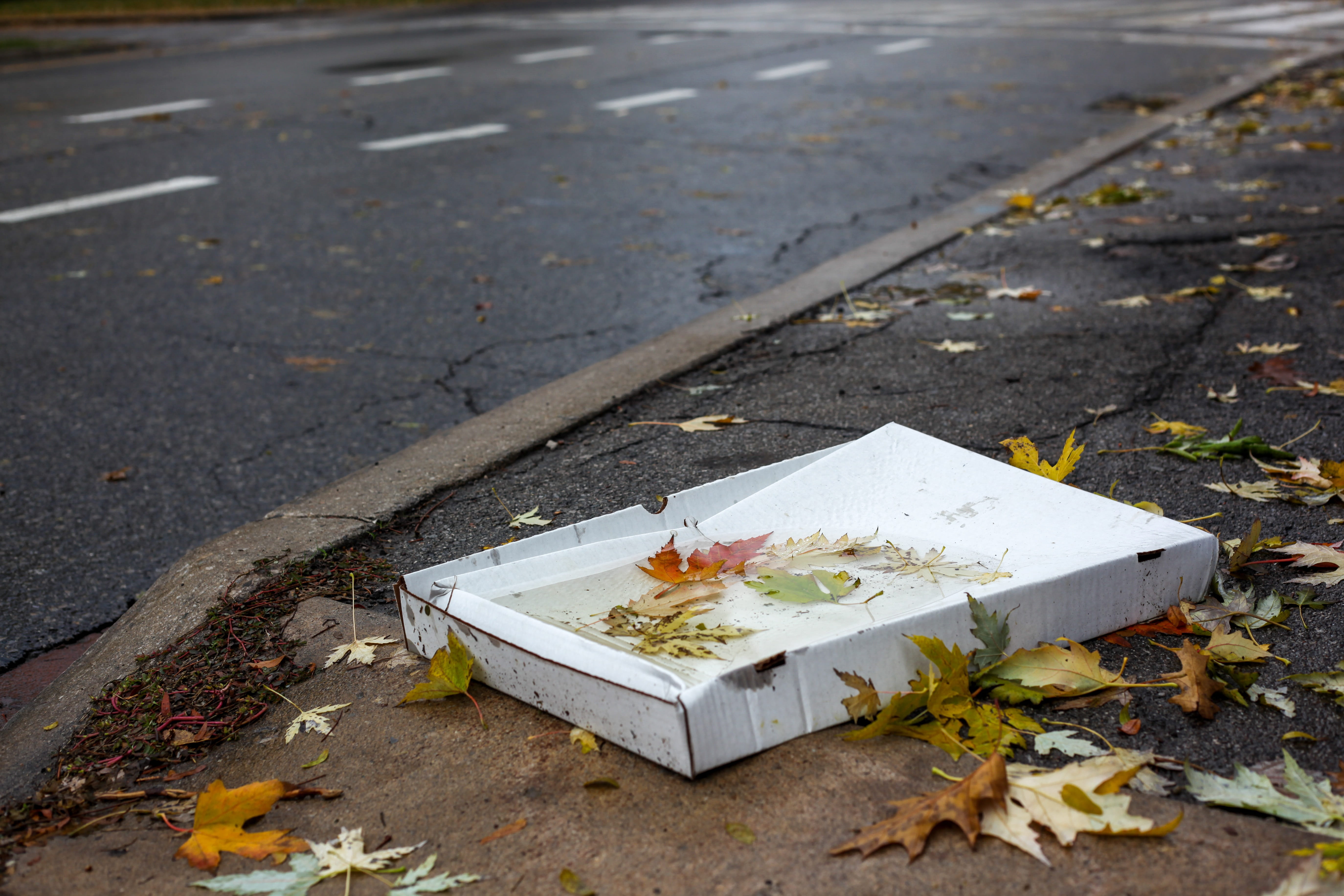 high angle view, paper carton, disposal, road, no people, footpath, thrown away, leaf, weather, 5K, day, autumn, garbage, street, sidewalk, pizza carton, HD Wallpaper
