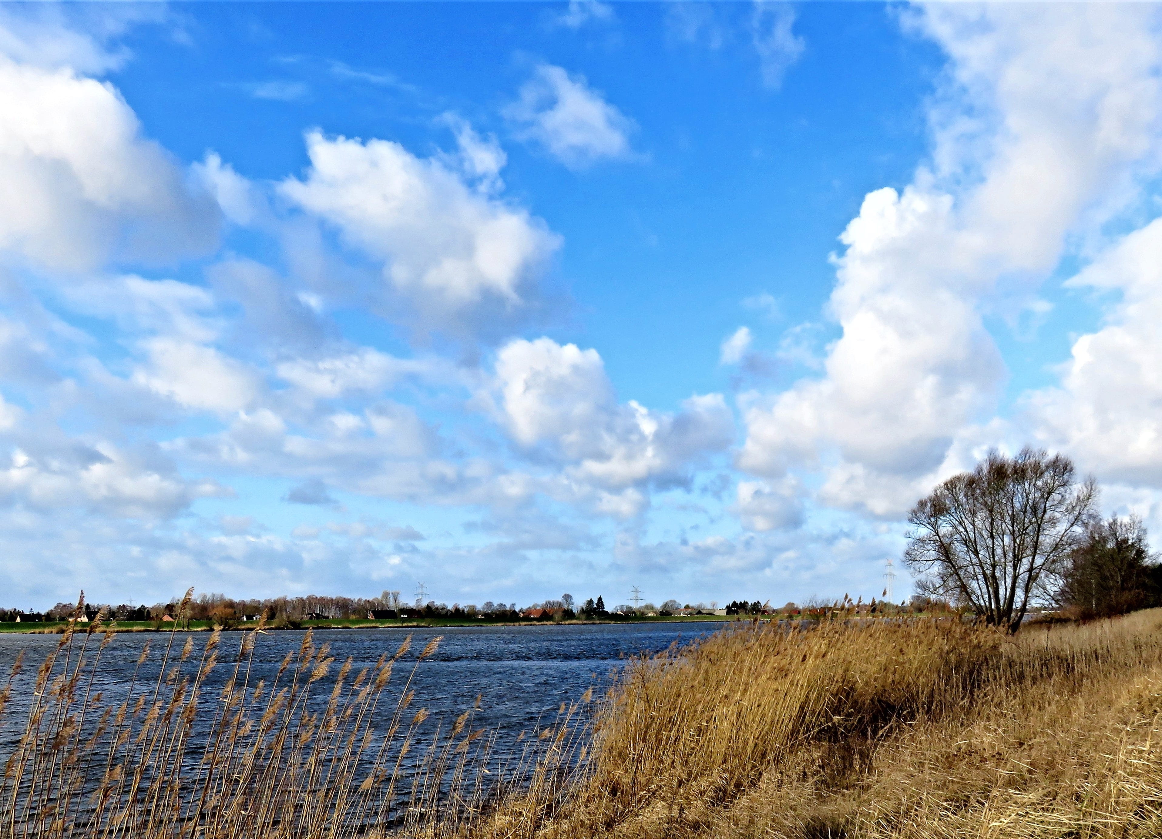 nature, beauty in nature, winter, tranquil scene, wave, elbe, sky, landscape, non-urban scene, day, northern germany, tattered clouds, grass, stormy, growth, HD Wallpaper