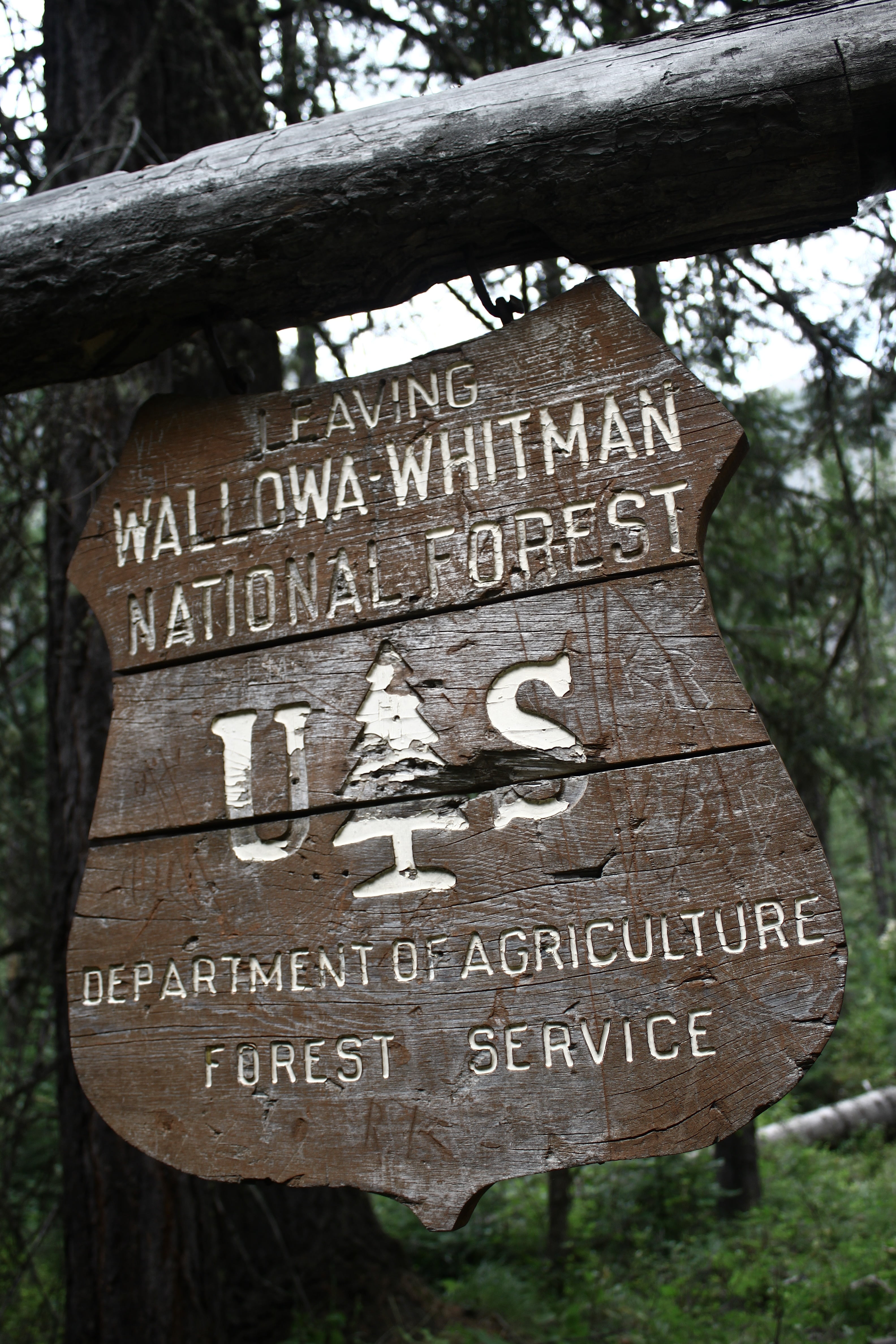 day, information, landscape, information sign, forest, 4K, wood, warning sign, sign, national, outdoors, green, tree, no people, forest landscape, non-western script, Phone HD Wallpaper