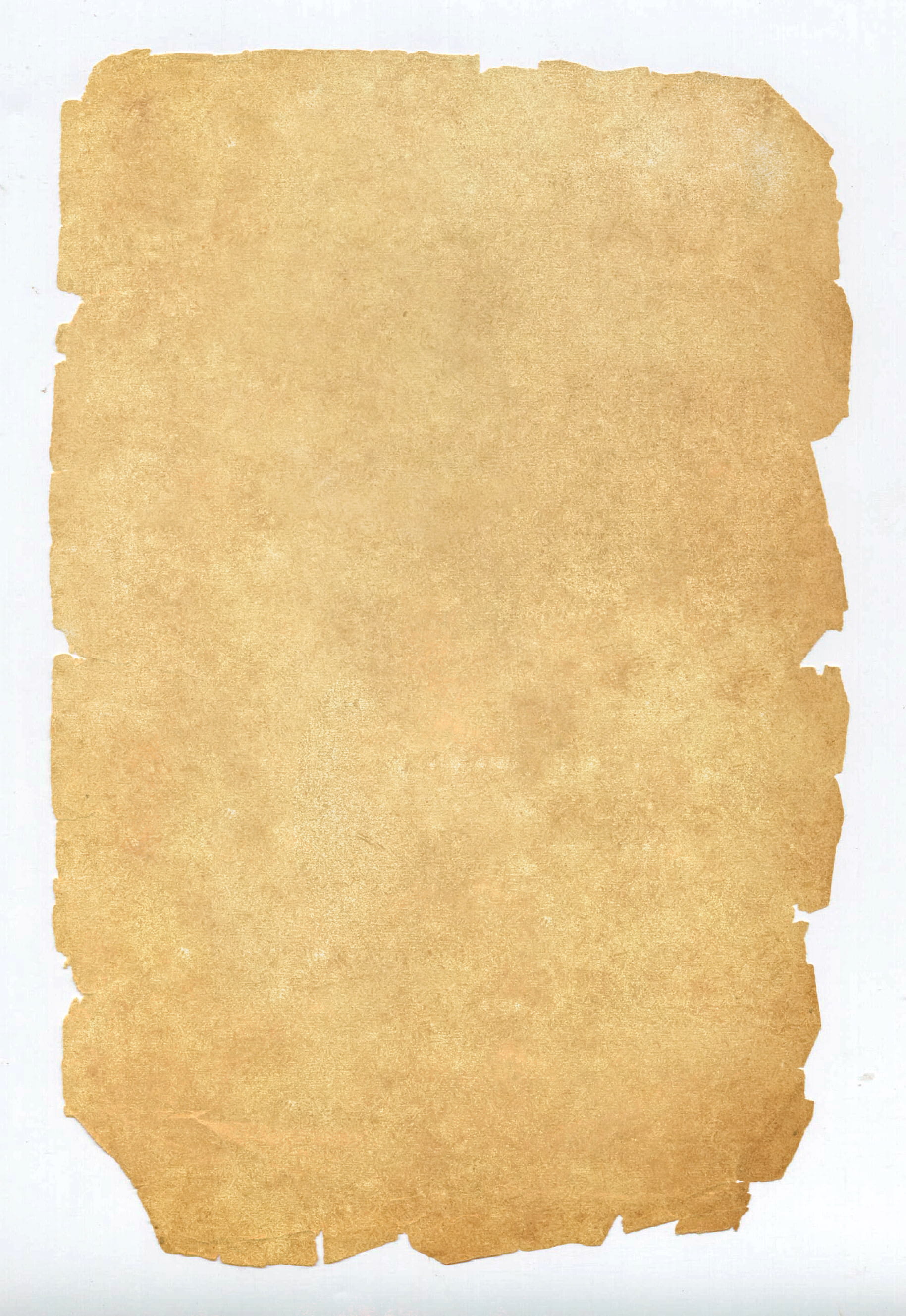 at the edge of, parchment, obsolete, grunge, 2K, dirt, curled up, no people, old, edges, damaged, antique, textured, textured effect, backgrounds, empty, Phone HD Wallpaper