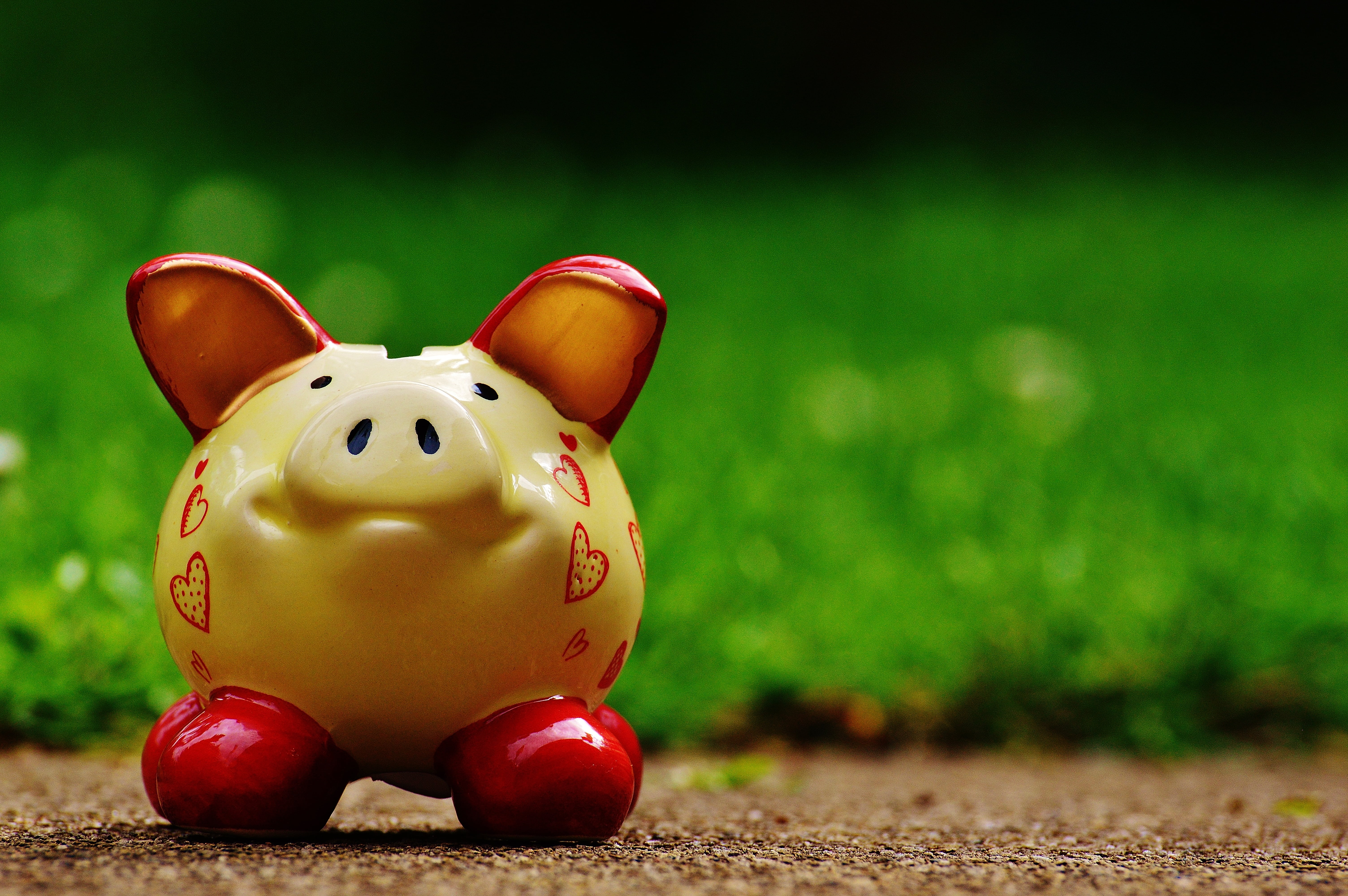 slot, savings bank, copy space, piglet, red, fun, green color, save, spar slot, 5K, bank note, grass, nature, meadow, funny, close-up, no people, investment, HD Wallpaper