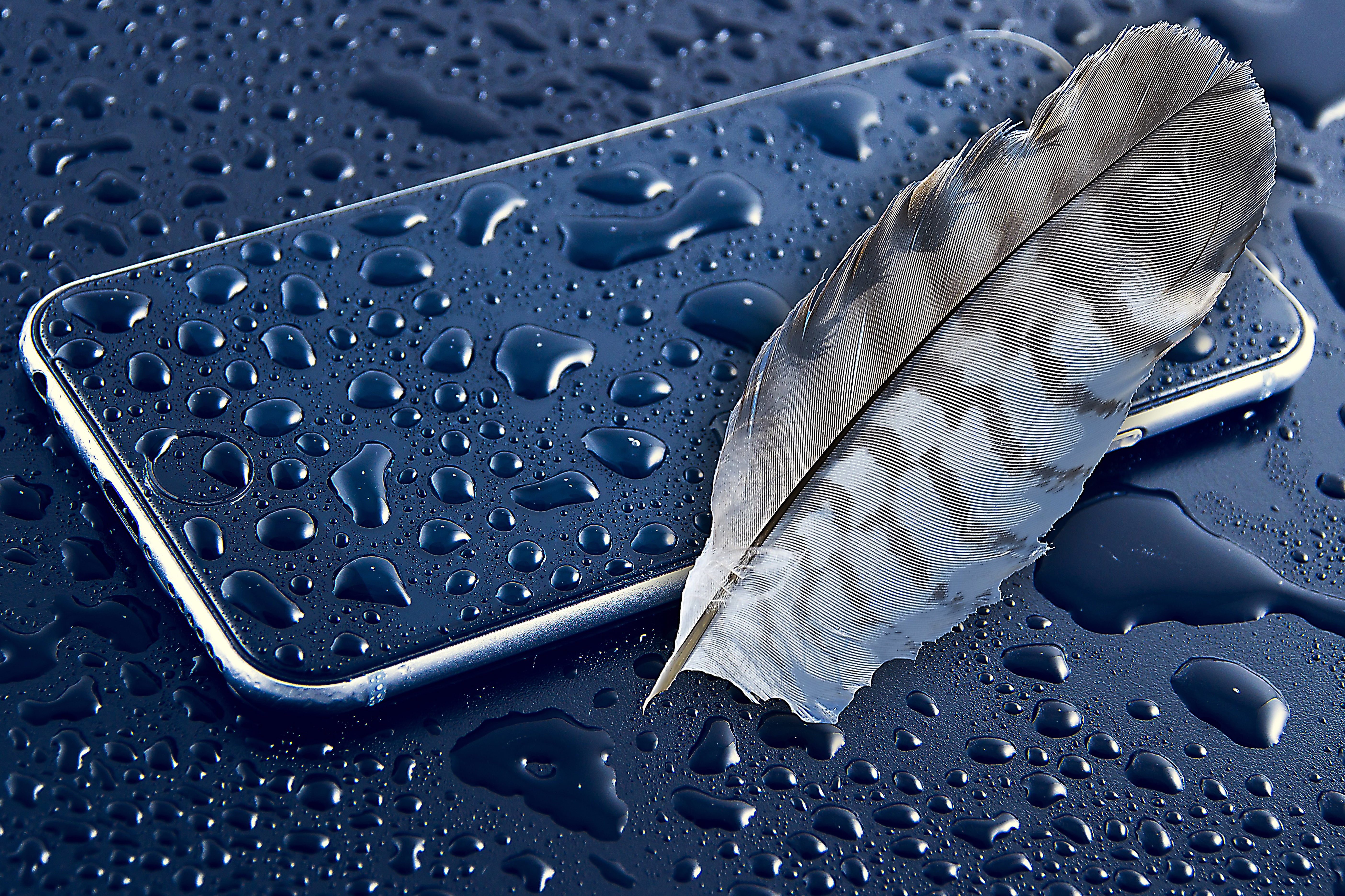 quill Pen, close-up, wet, backgrounds, high angle view, drop, apple, abstract, metal, macro, pen, iphone 6, writing, gray, 5K, no People, feather, rain, HD Wallpaper