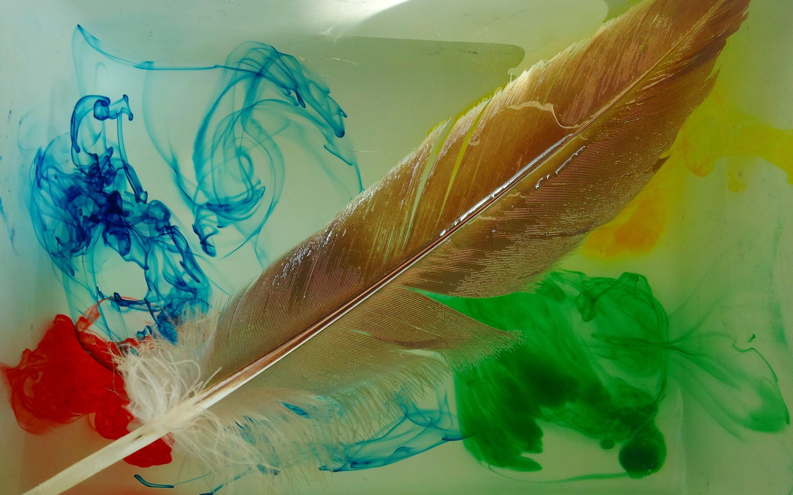 still life, pen, old, green color, close-up, paper, fragility, fish, animal, underwater, blue, mixing, writing, old-fashioned, brown, nature, animal wildlife, HD Wallpaper