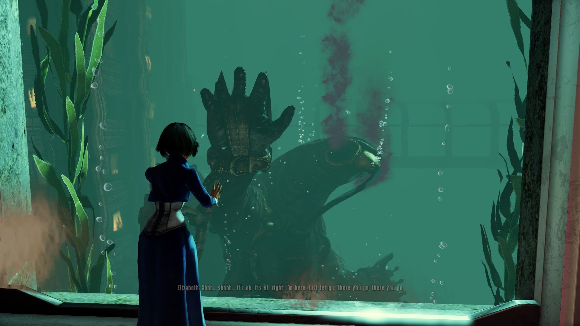 s, marine, animals in captivity, BioShock, glass - material, animal wildlife, standing, animals in the wild, tank, blue, aquarium, transparent, real people, HD Wallpaper