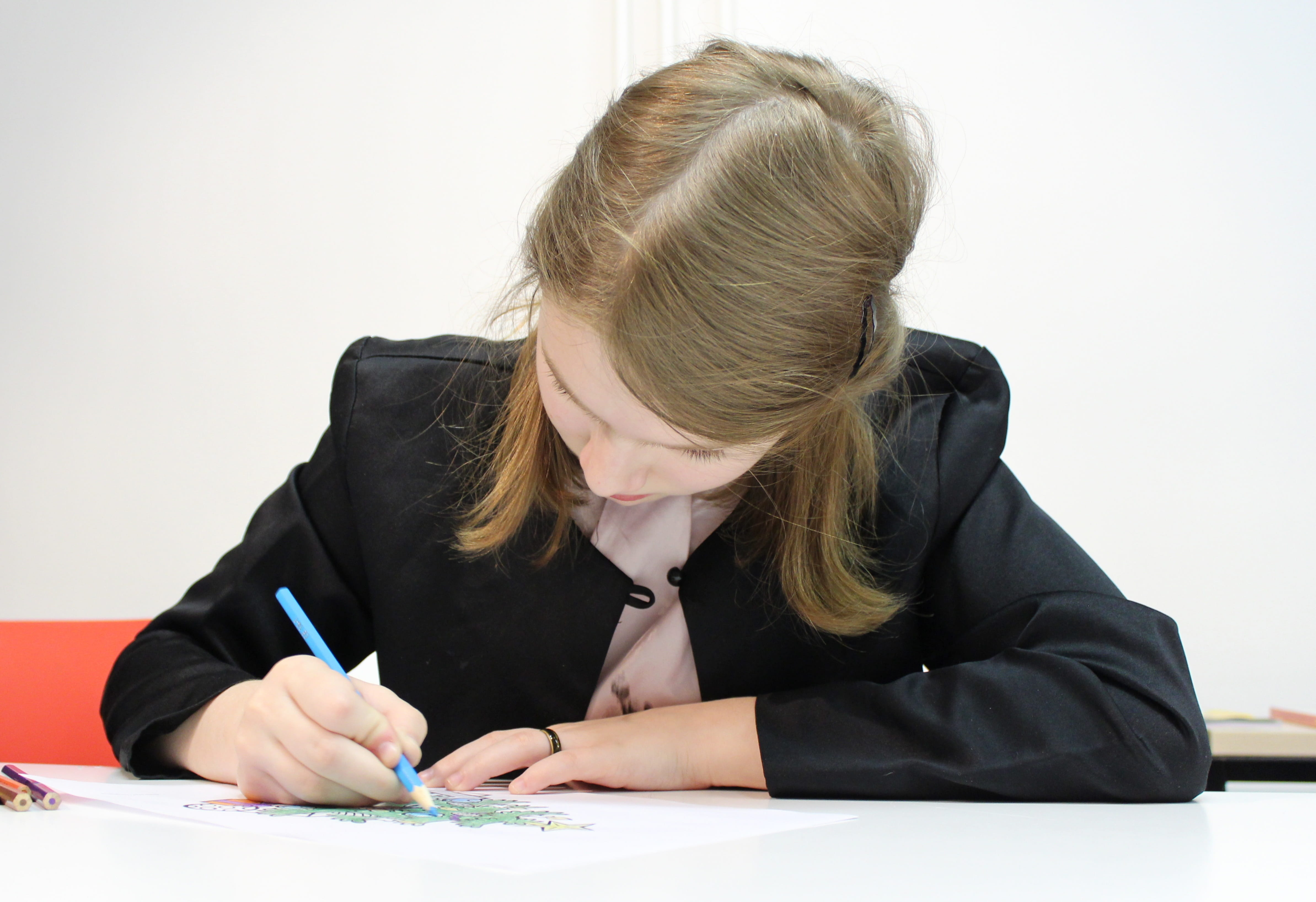 schoolboy, lesson, one young woman only, only women, indoors, teenager, women, blue, cute, writing, school, hairstyle, study, portrait, pen, adults only, HD Wallpaper