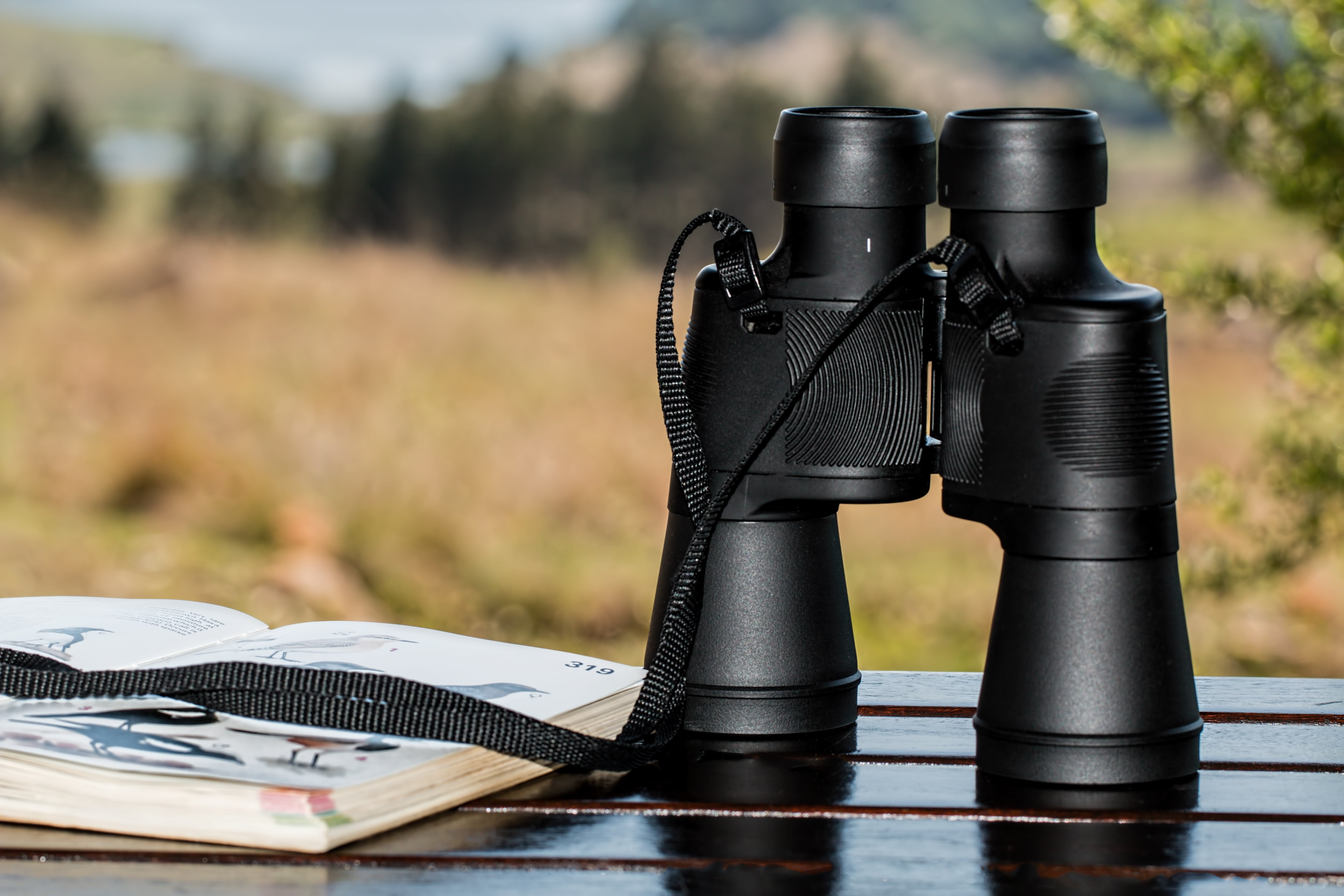 photography, birdwatching, close-up, sunlight, focus on foreground, vacation, sightseeing, equipment, business, focus, plant, telescope, selective focus, HD Wallpaper