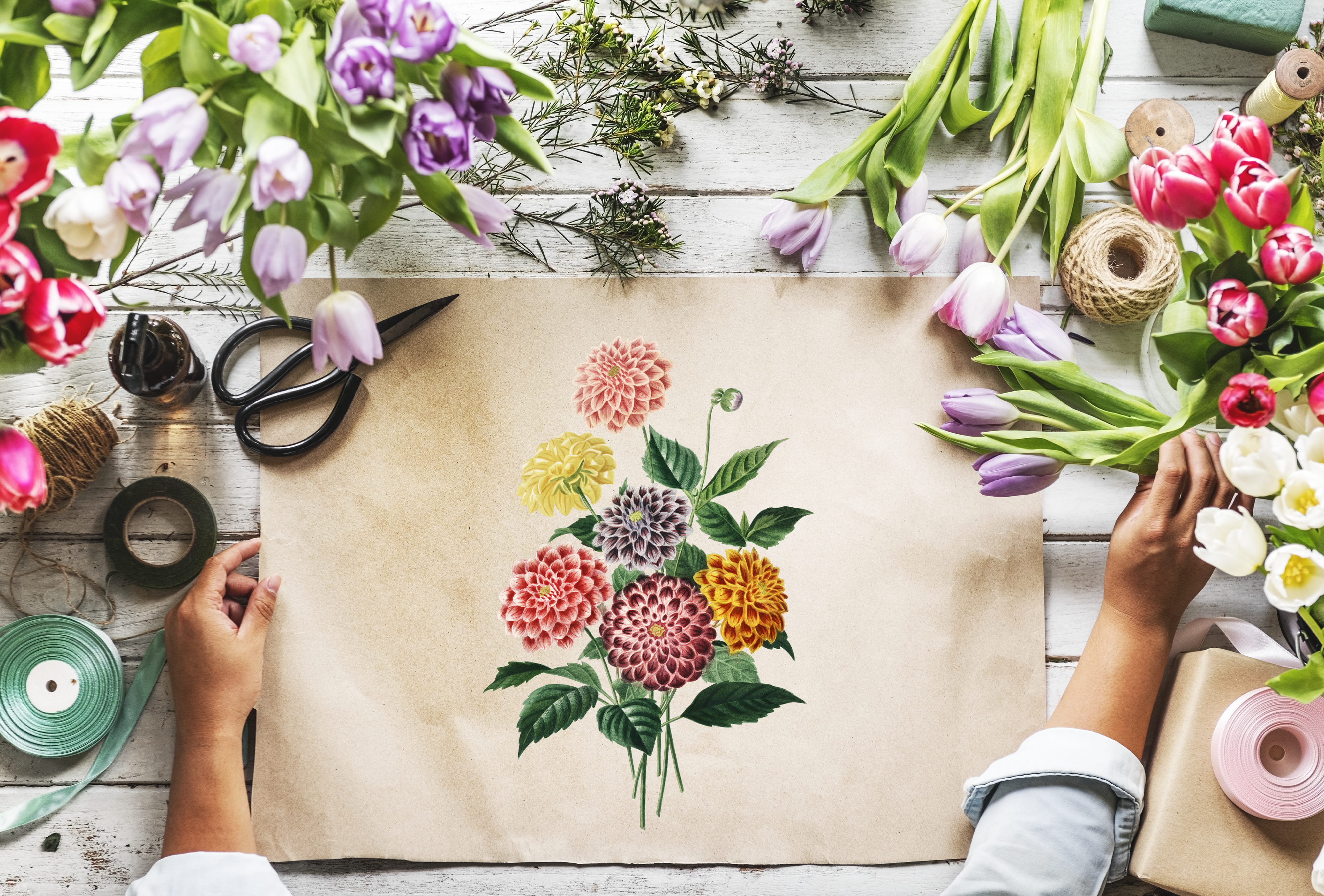 real people, table, 4K, beautiful, painting, gardening, plant, lifestyles, petals, hand, directly above, ribbons, high angle view, potted plant, creative, HD Wallpaper