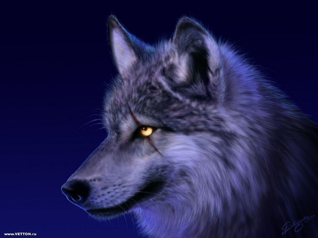 480P, animals, hd, other, SCARFACE, art, HD Wallpaper