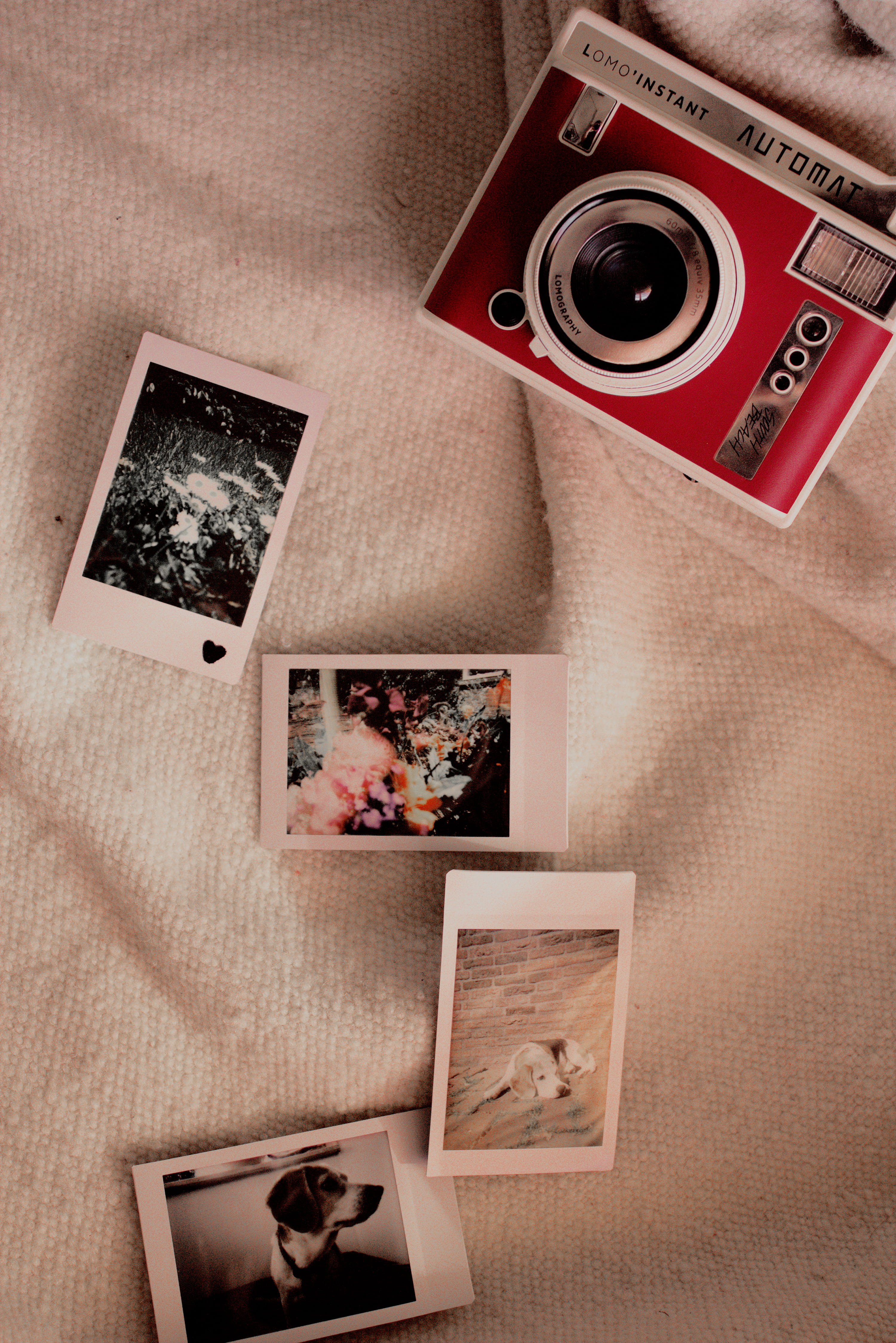 history, high angle view, blanket, animal, photography themes, table, person, electronics, instant photos, still life, wood, mail, directly above, camera, Phone HD Wallpaper