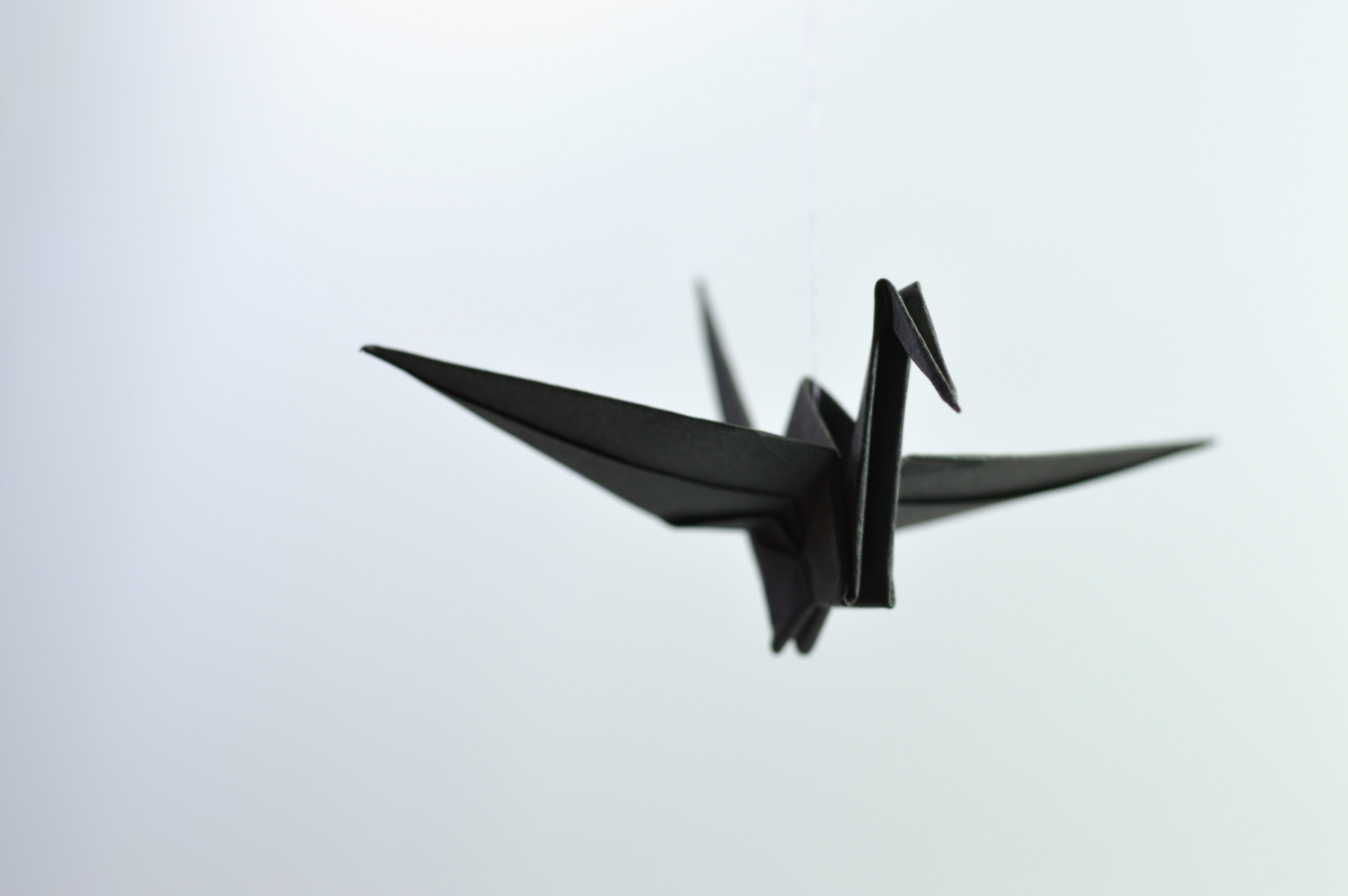 transportation, airplane, speed, plane, aerospace industry, low angle view, bird, crane, on the move, flying, freedom, no people, nature, fighter plane, HD Wallpaper
