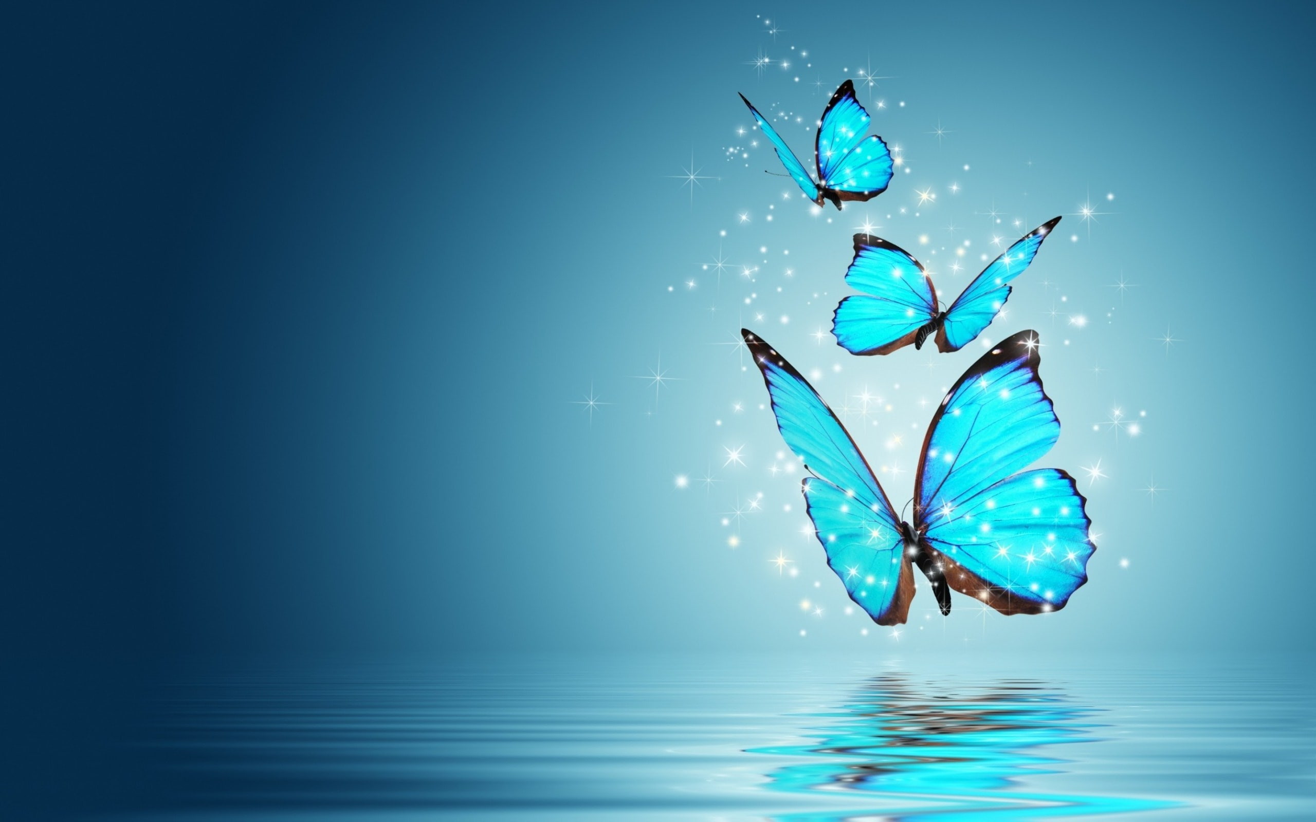 indoors, studio shot, water, mid-air, colored background, 2K, butterfly - insect, blue, sea, day, animal representation, no people, turquoise colored, HD Wallpaper