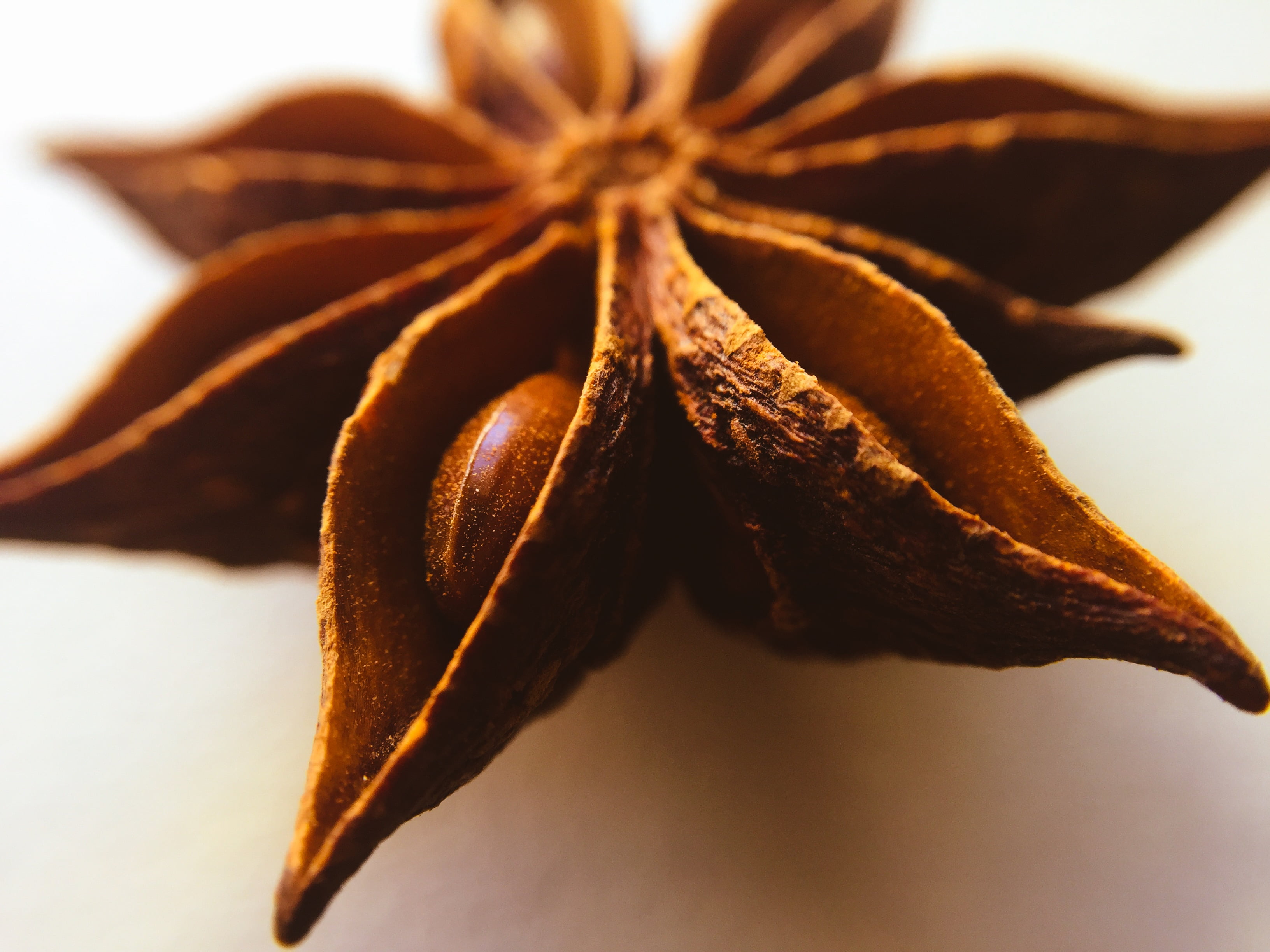 food and drink, dry, still life, 2K, no people, indoors, food, plant, nature, spice, studio shot, flower, anise, table, healthy eating, brown, selective focus, HD Wallpaper