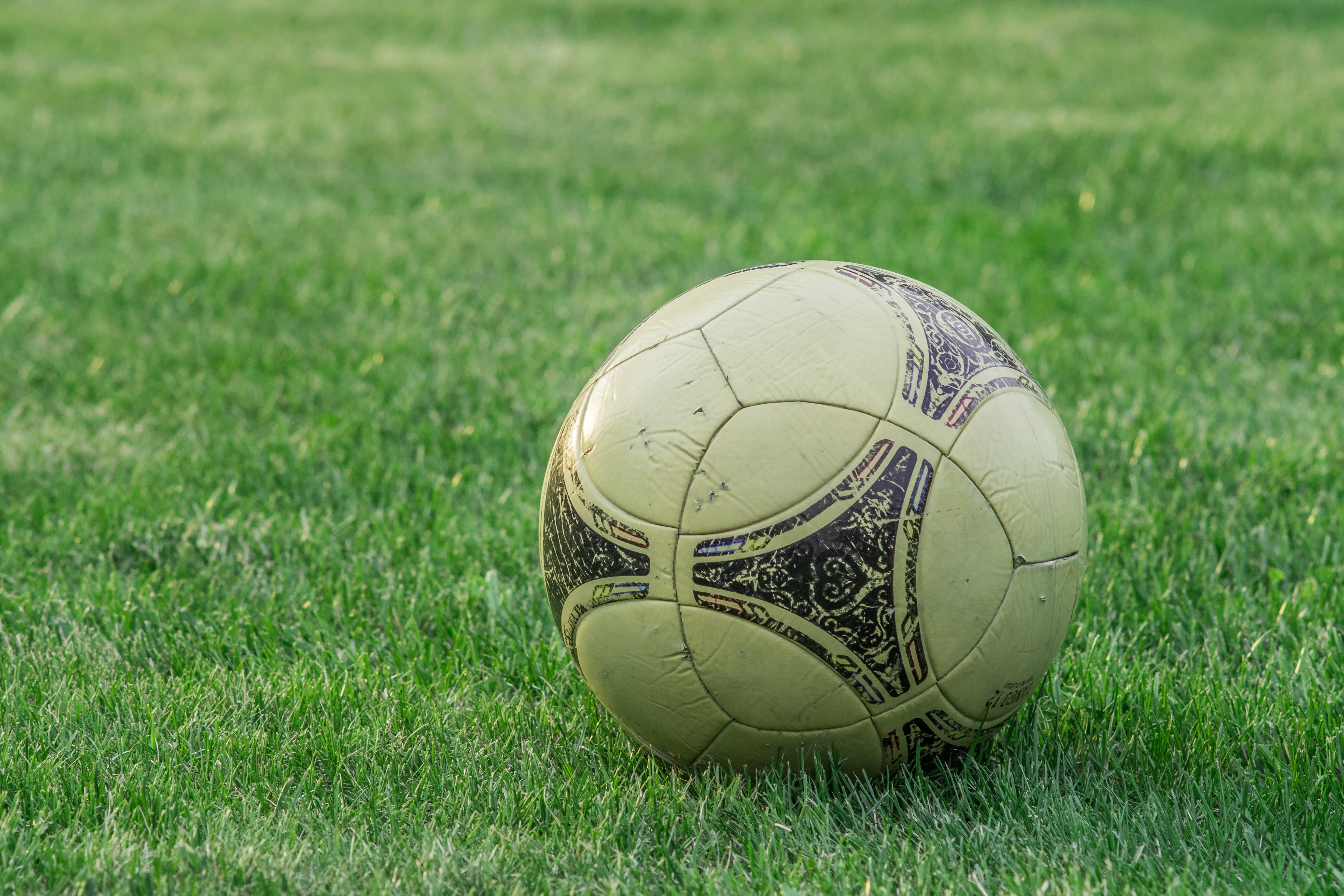 white, health, playground, at the court of, land, green, sports equipment, competition, still life, cream, day, green color, soccer, championship, lawn, HD Wallpaper
