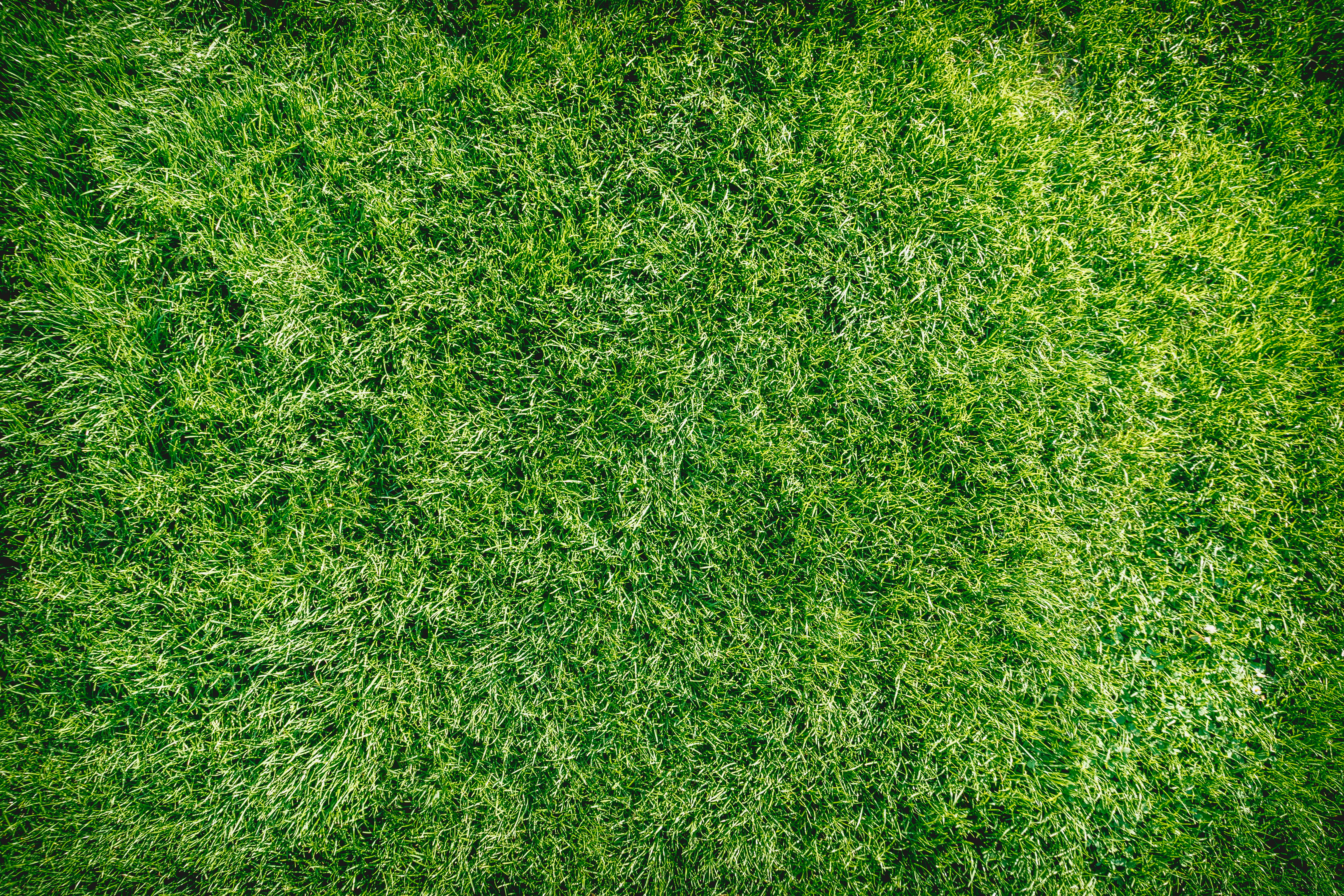 green, high angle view, background, lawn, full frame, clean, grass, team sport, soccer, backgrounds, playing field, growth, 4K, no people, plant, outdoors, HD Wallpaper