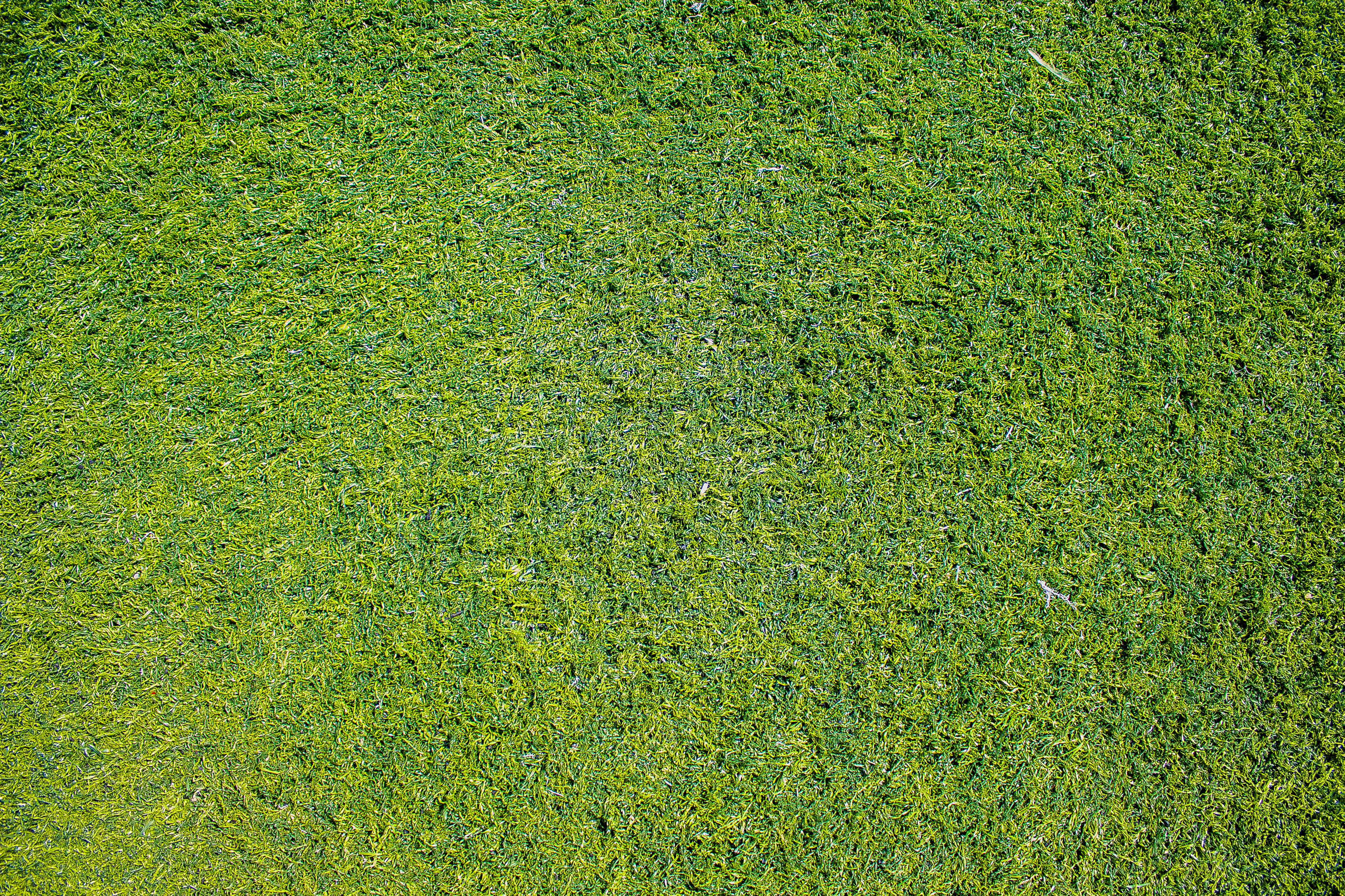 green color, soccer, mockup, full frame, backgrounds, soccer field, grass, no people, plant, high angle view, view, photo, blank, 2K, grass field, sport, HD Wallpaper