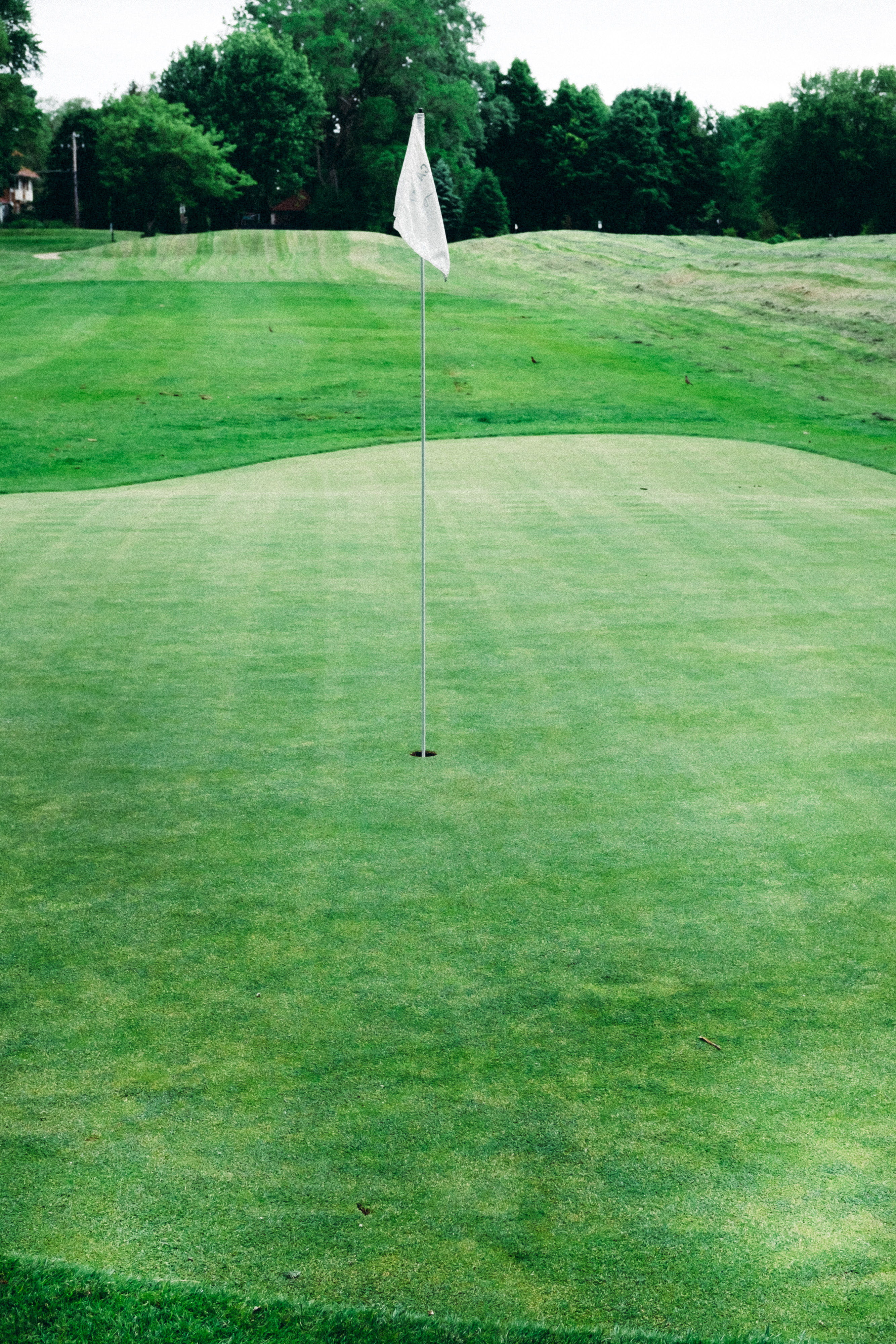 competition, game, activity, british, pga, beautiful, masters, play, no people, green - golf course, land, open, tree, landscape, flag, countryside, outdoors, Phone HD Wallpaper