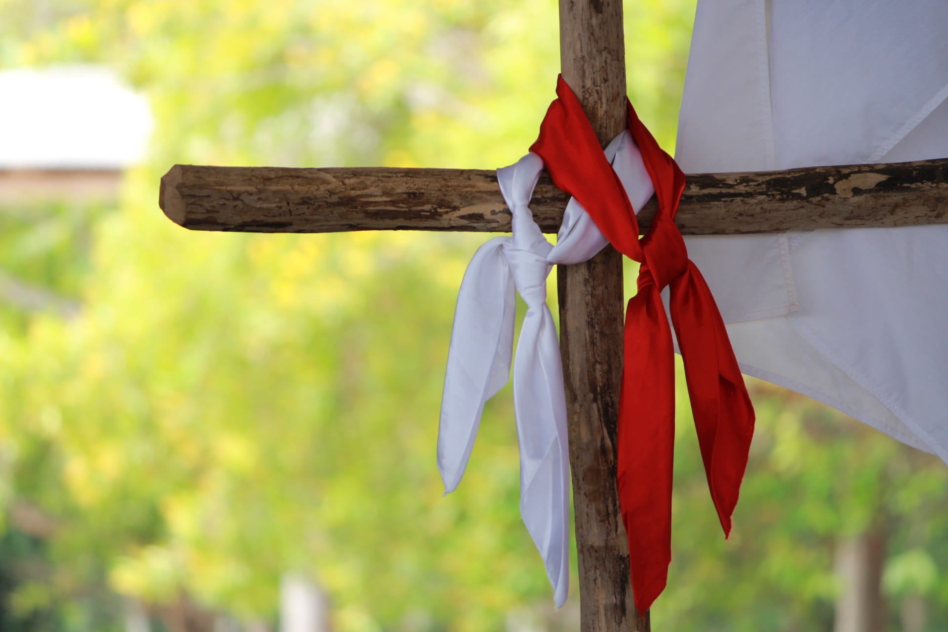 tree, red, nature, tied up, spirituality, maragato, clothing, day, wooden post, textile, outdoors, clothesline, belief, religion, rope, no people, focus on foreground, HD Wallpaper