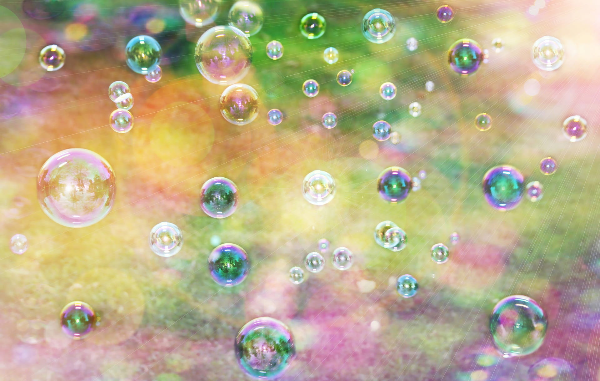 lightweight, close-up, textured, transparent, life, Nature, summer, circle, soap Sud, rainbow, water, shiny, freshness, green Color, fragility, bubble, HD Wallpaper