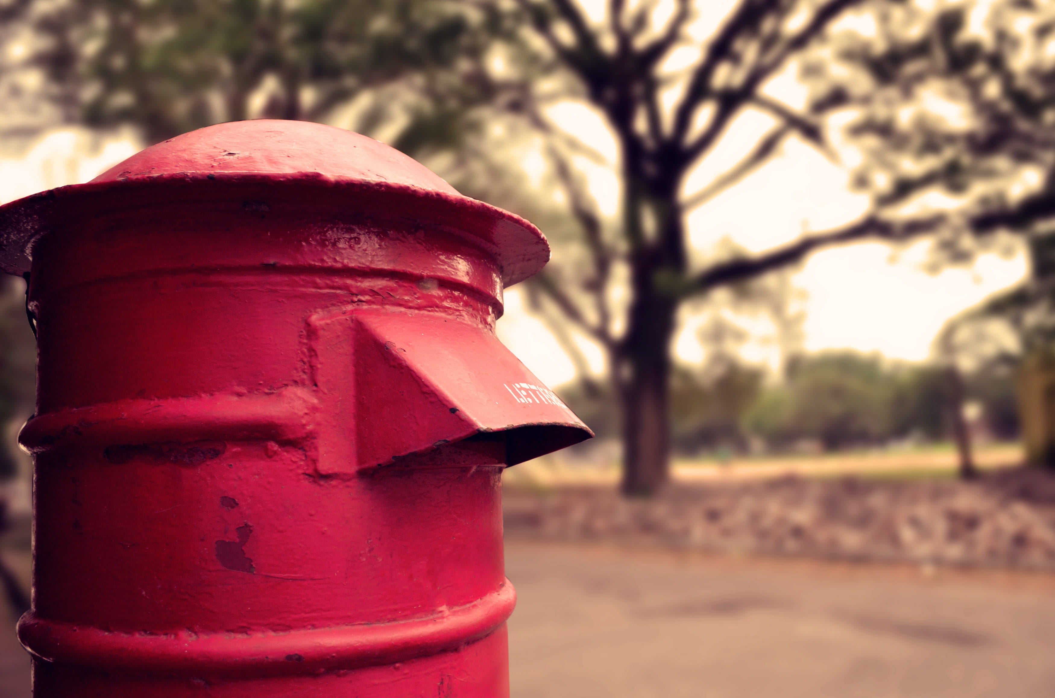 public mailbox, tree, red, sunlight, nature, 2K, plant, fire hydrant, outdoors, box, safety, metal, security, letter, no people, focus on foreground, protection, HD Wallpaper