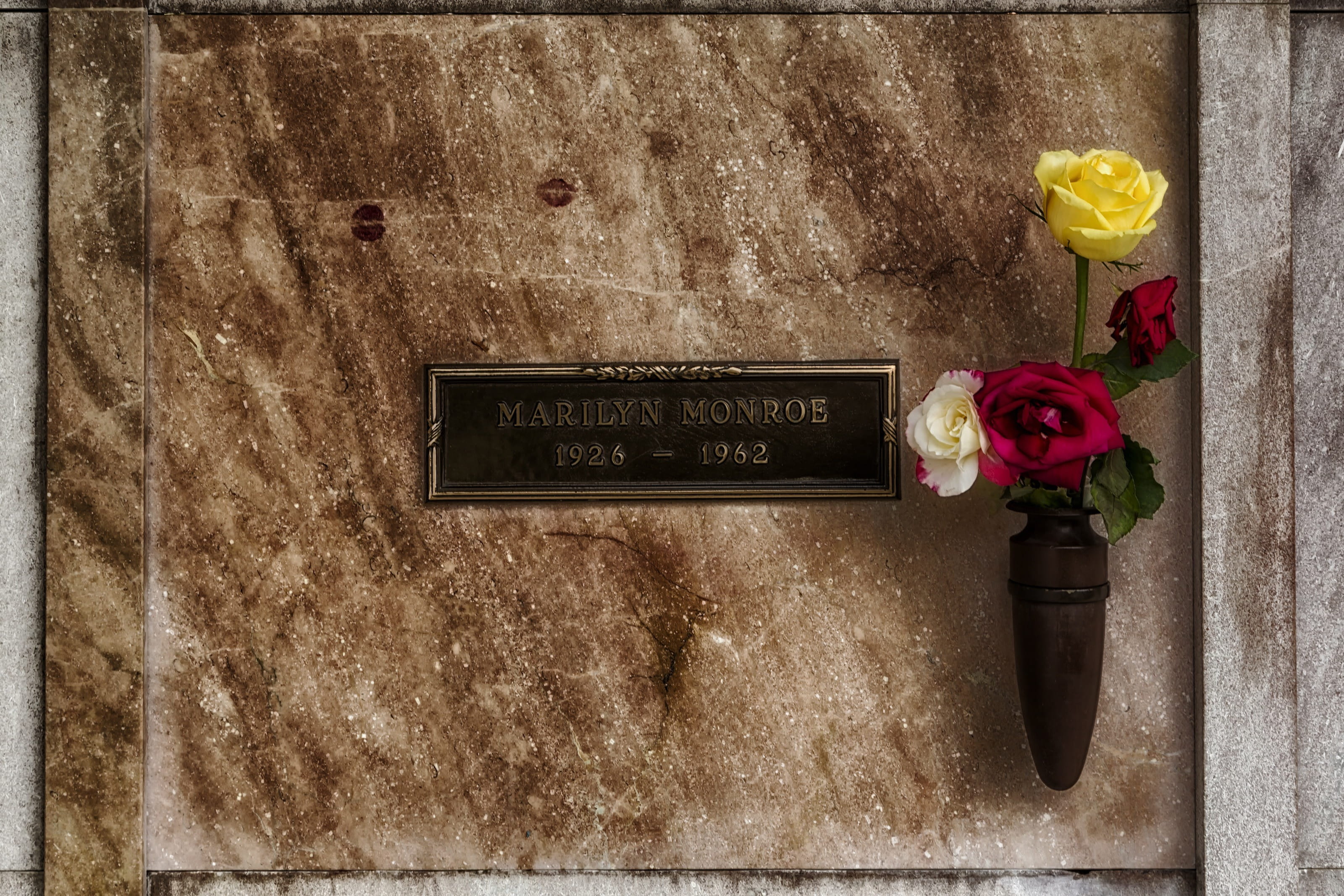 rose, wall, hdr, close-up, flowers, wall - building feature, crypt, tomb, flowering plant, sign, monroe, message, no people, rose - flower, nature, public mailbox, HD Wallpaper