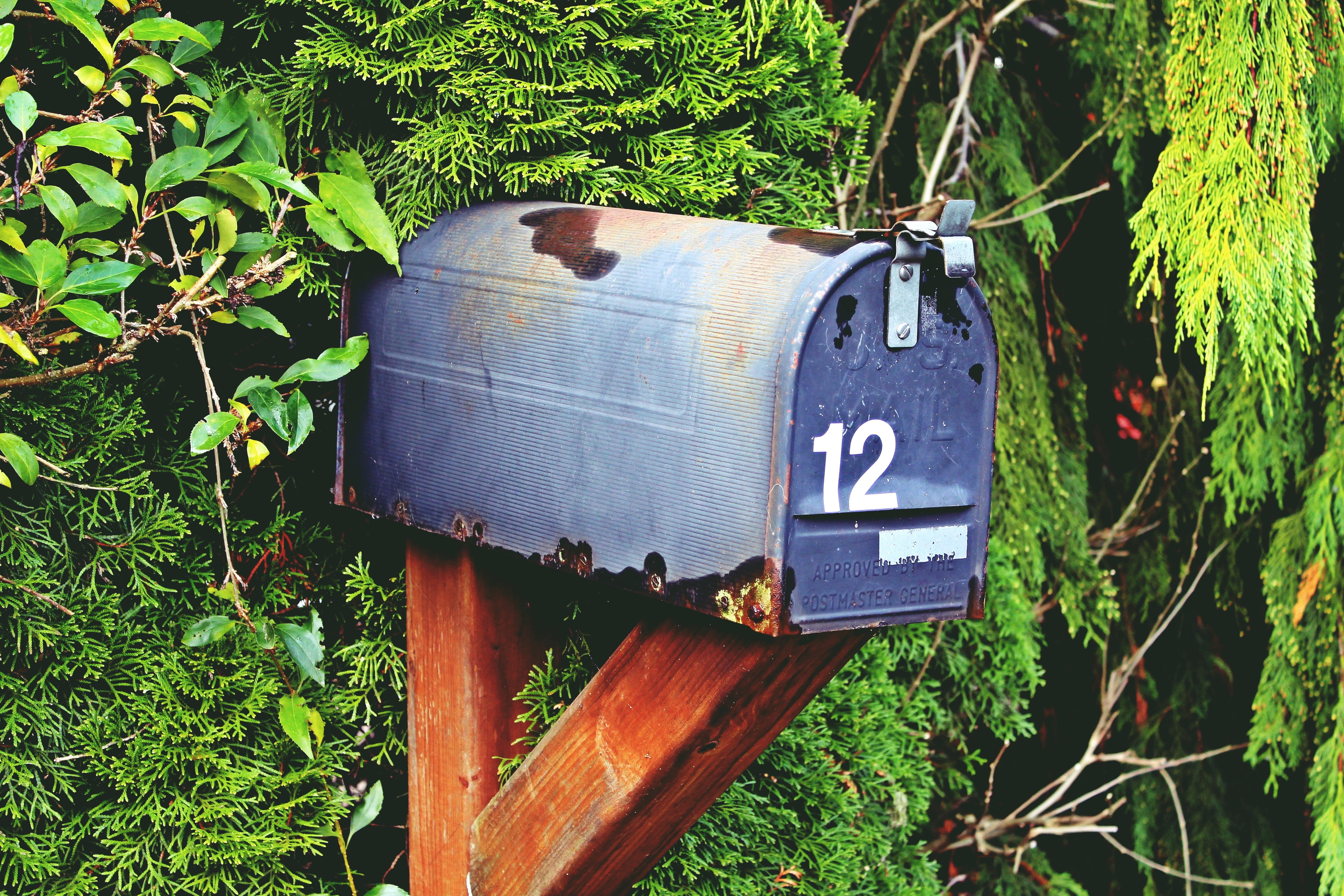 plant part, box, tree, mailbox, green color, mail box, brown, shrubs, twelve, public mailbox, outdoors, post, communication, close-up, no people, sign, HD Wallpaper
