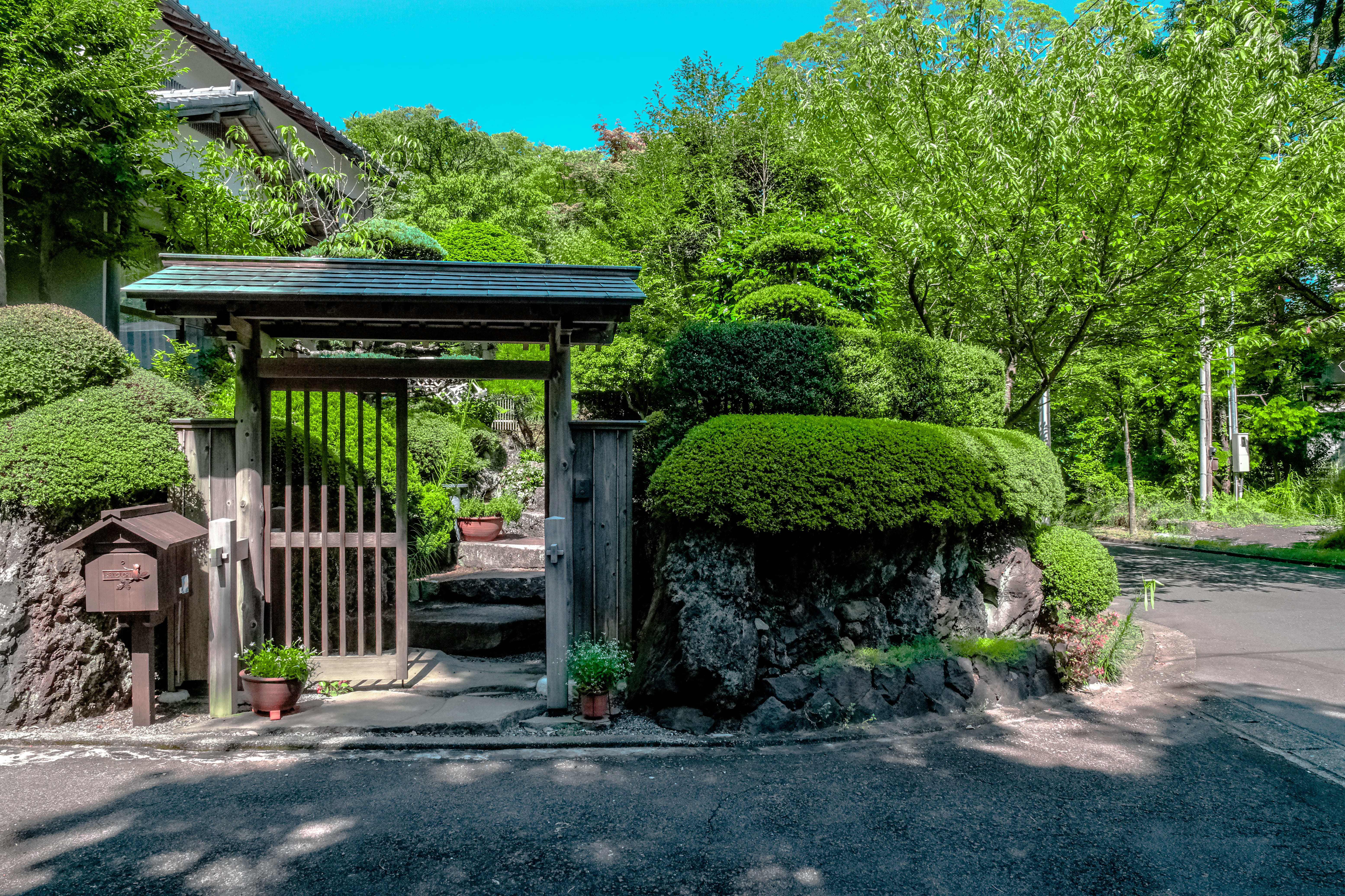 house, pots, built structure, trees, growth, plants, nature, garden, road, grass, yard, plant, 5K, exterior, green color, mailbox, daylight, building exterior, HD Wallpaper