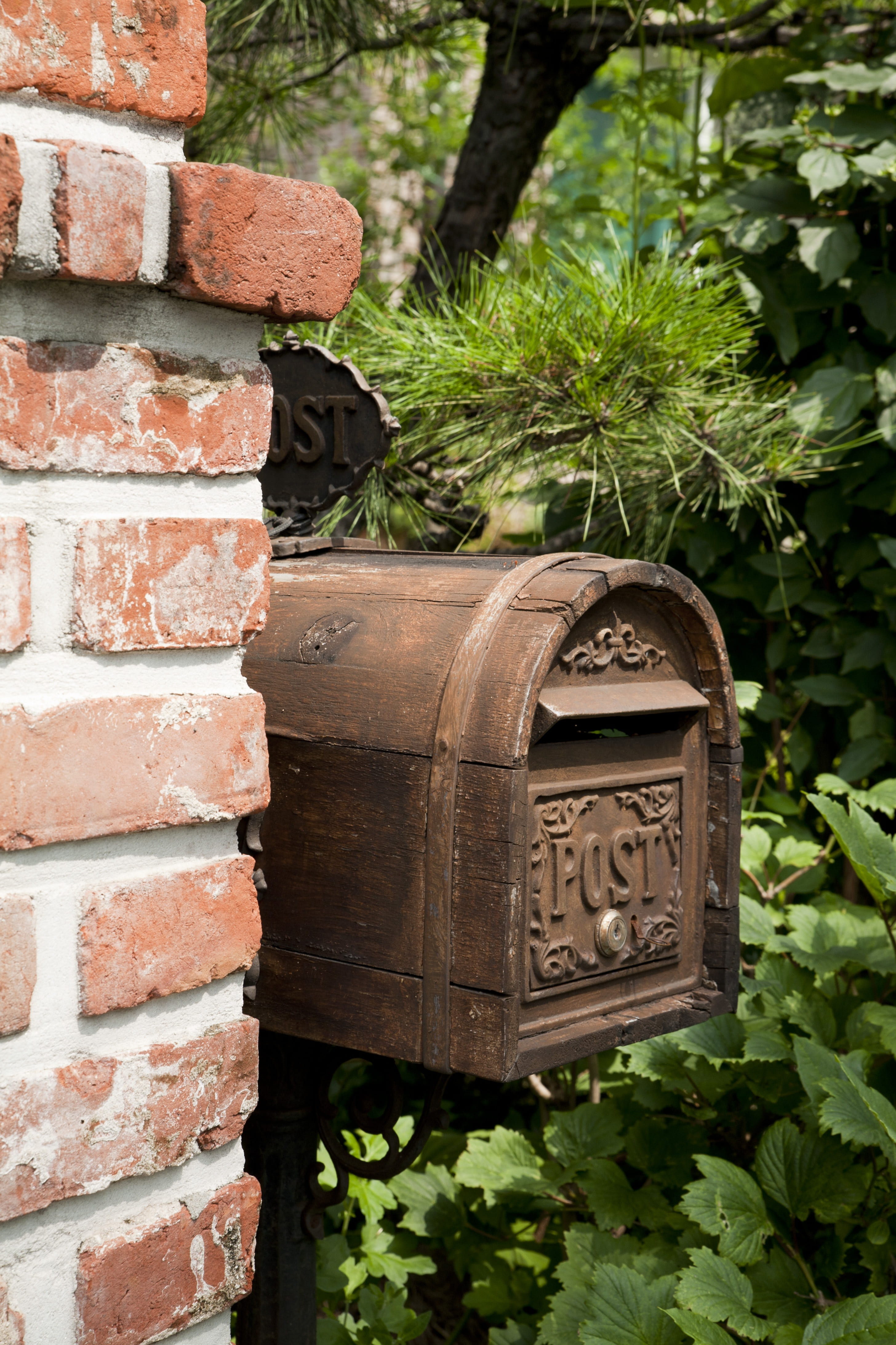 plant, brick, letter, tree, wall - building feature, correspondence, wall, day, no people, communication, growth, mail, outdoors, mail box, delivery, letters, Phone HD Wallpaper