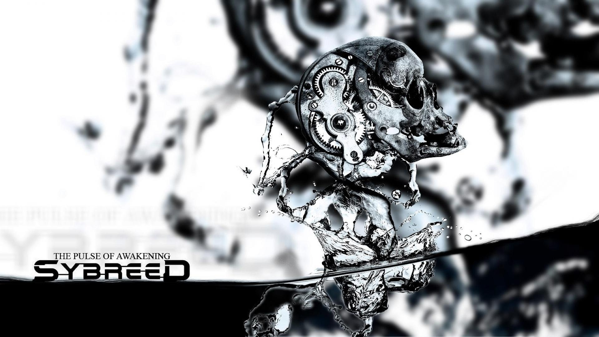 skull, groove, sci-fi, dark, death, sybreed, melodic, 1080P, steampunk, metal, heavy, industrial, HD Wallpaper