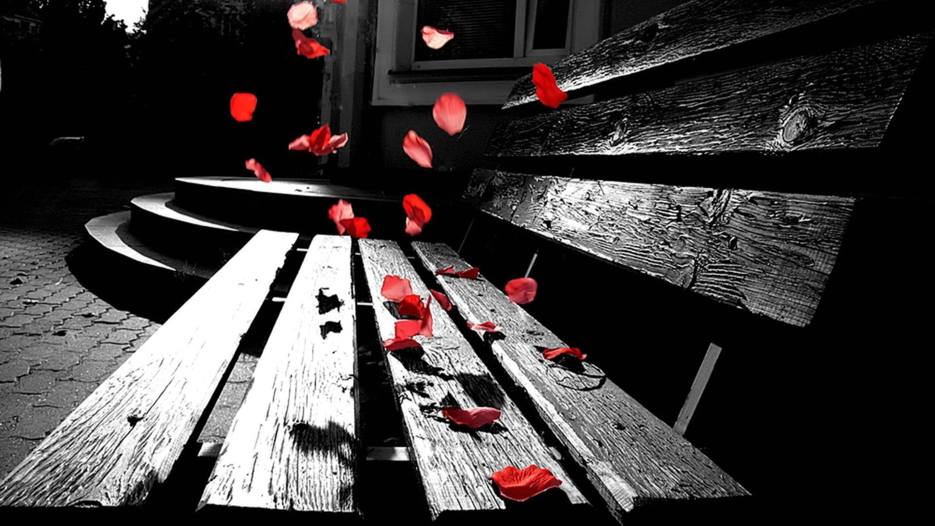 rug, shadow, built structure, tree, selective coloring, high angle view, petals, plant, 1080P, red, wood, white, nature, architecture, black, wood - material, HD Wallpaper