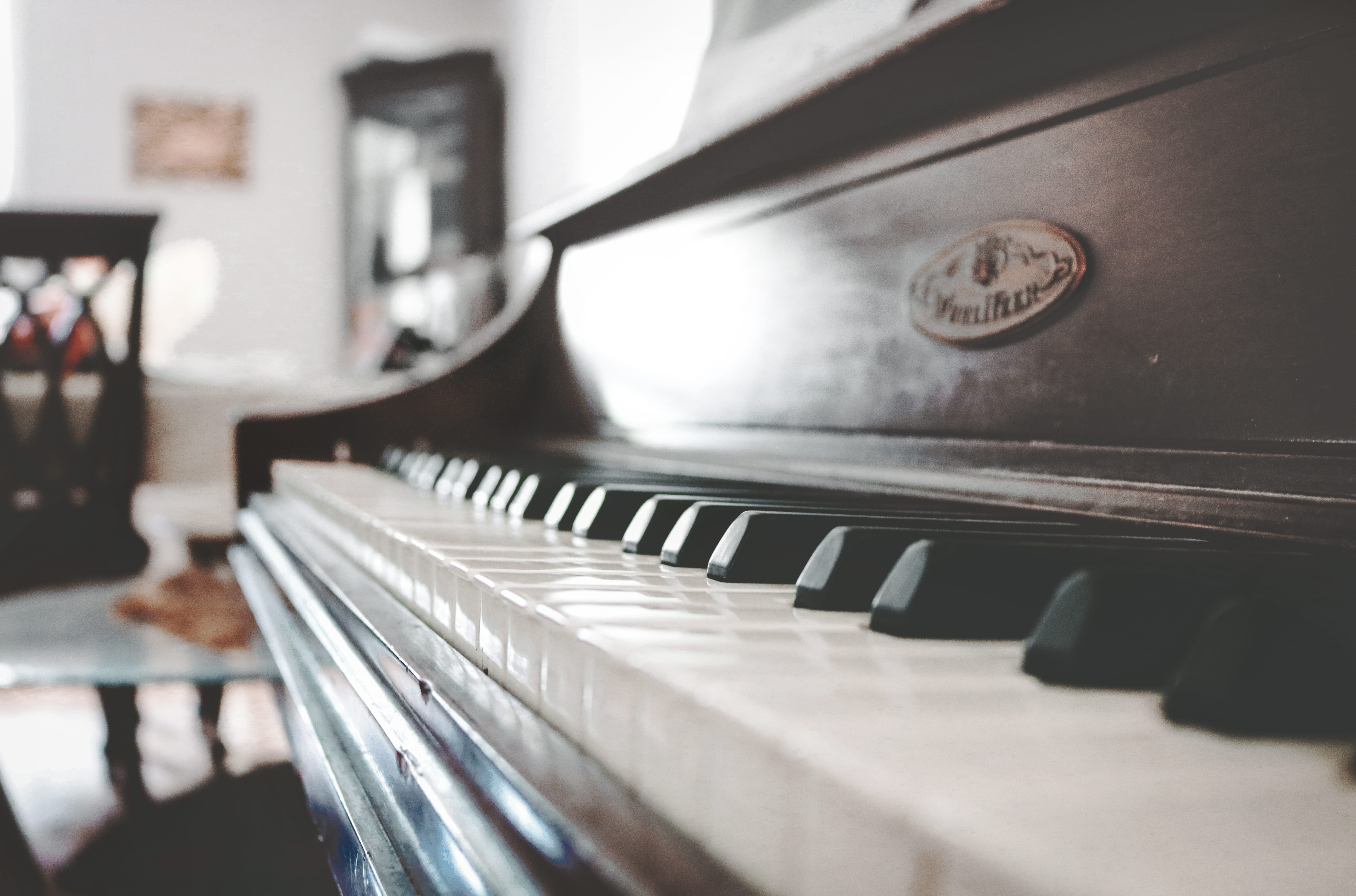 play, 5K, musical equipment, domestic room, keyboard instrument, keyboard, x-ray, shift, tilt, selective focus, cup, focus, piano key, home interior, playing, HD Wallpaper
