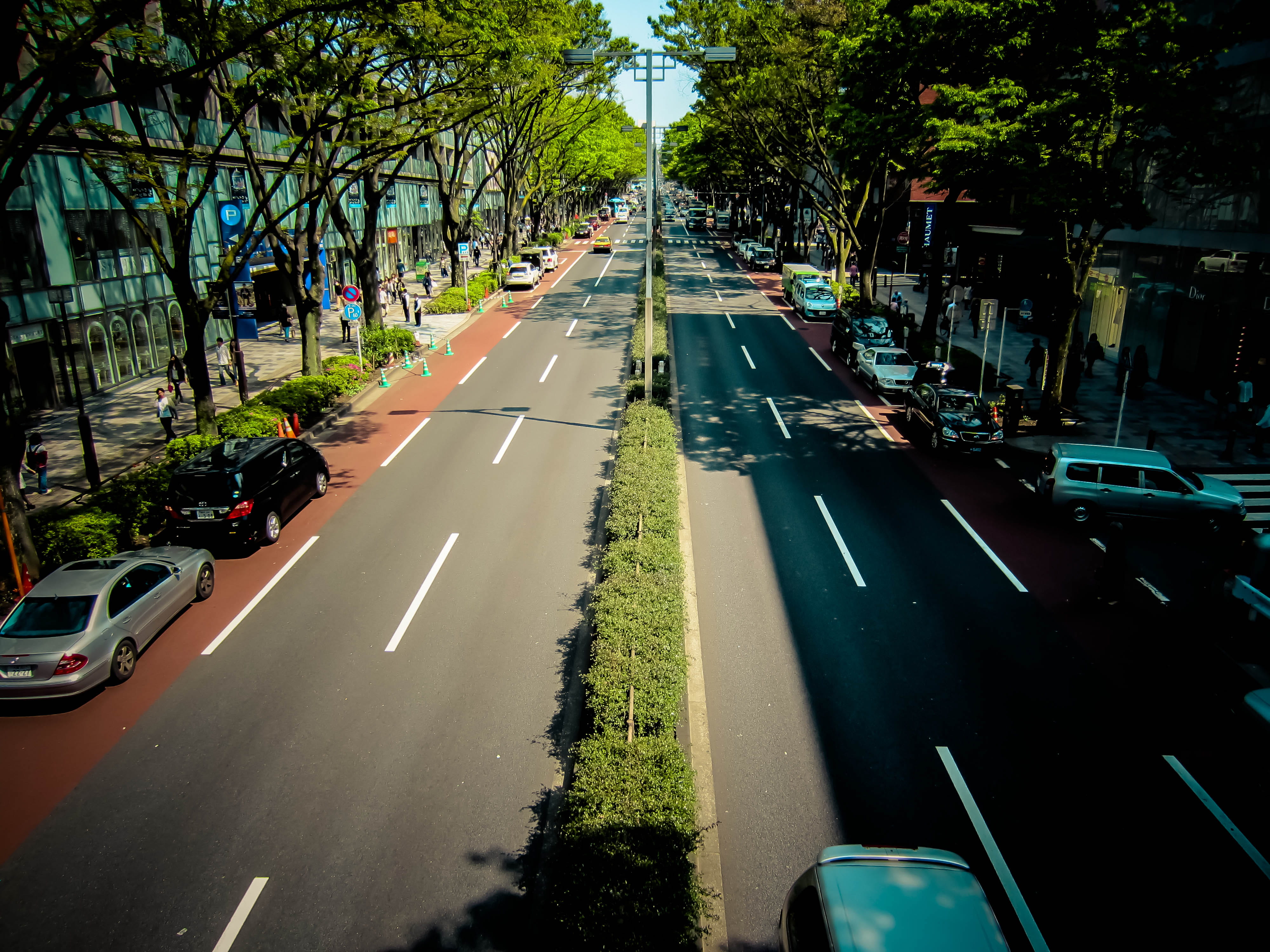 transportation, street, tree, city street, motor vehicle, symbol, city, road marking, outdoors, nature, japan, incidental people, plant, architecture, shibuya, HD Wallpaper