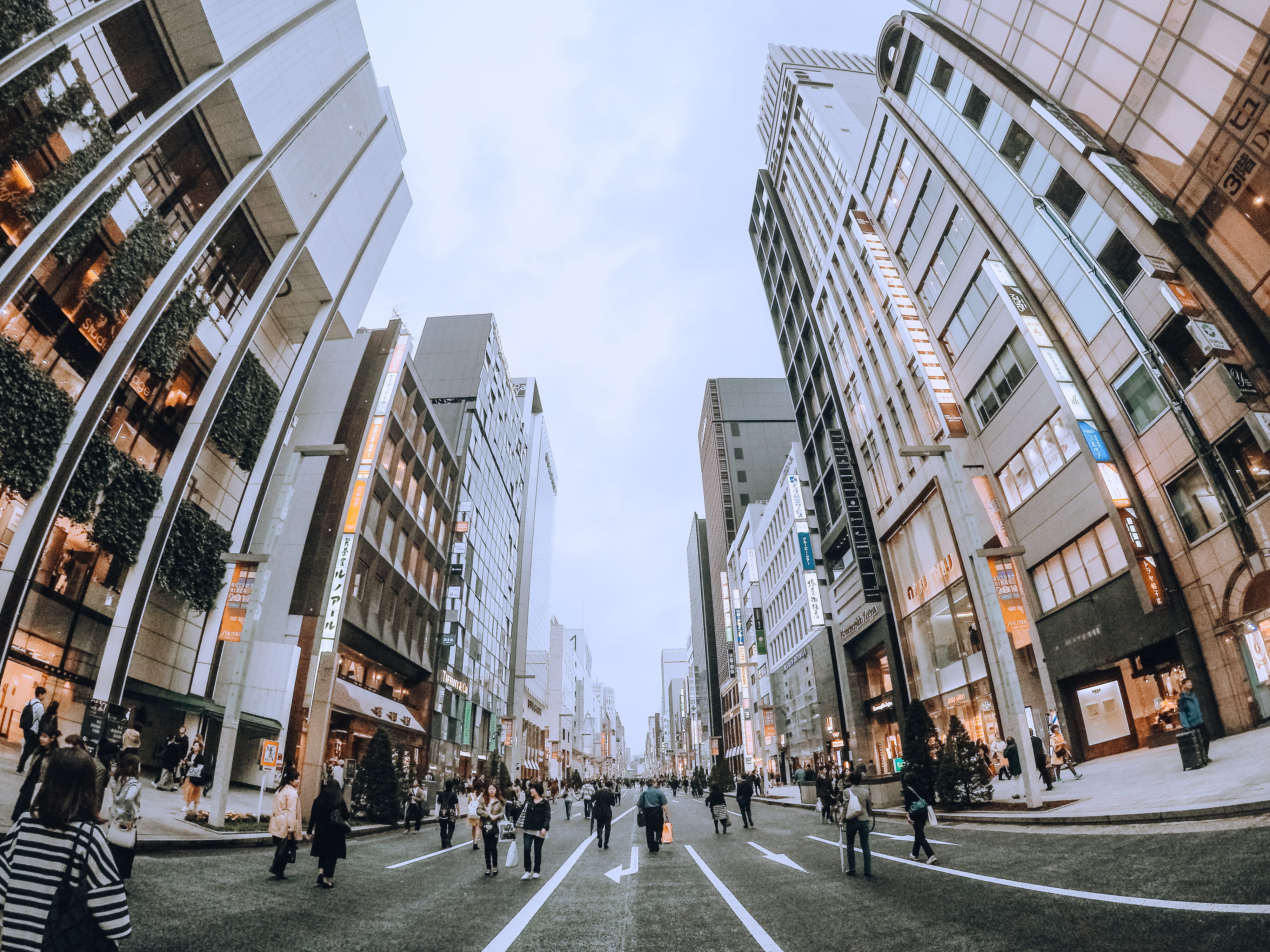 street, city street, large group of people, sky, city, japan, day, building, crowd, modern, shopping, harajuku, building exterior, 4K, real people, walking, HD Wallpaper