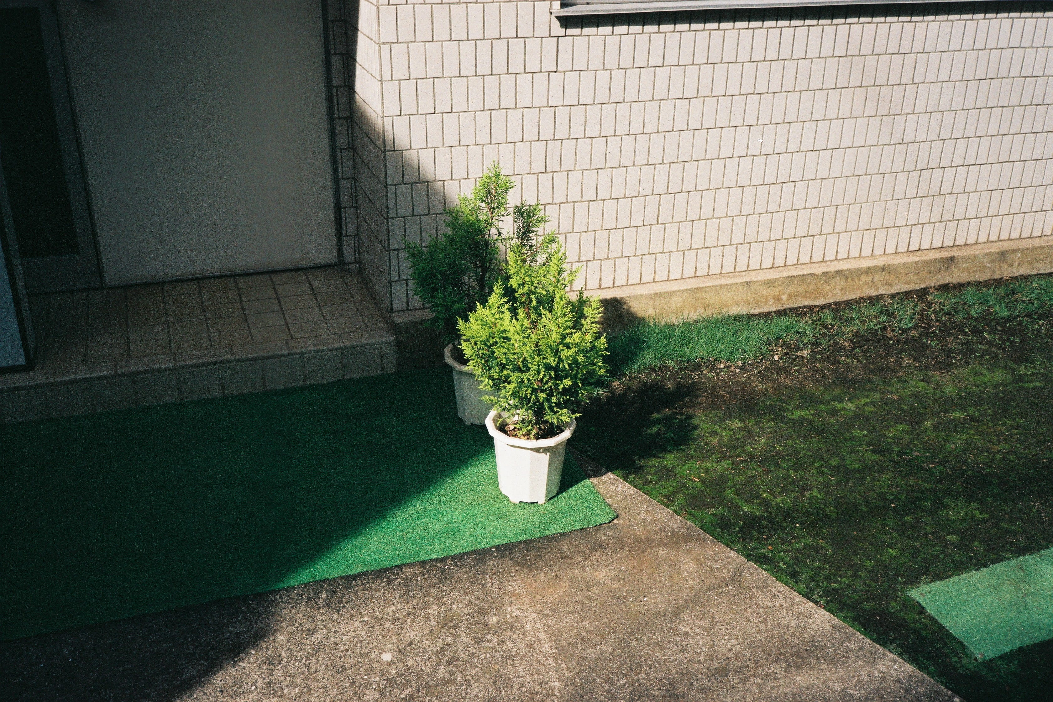 potted plant, architecture, shadow, wall - building feature, houseplant, growth, tiled floor, built structure, absence, 2K, building exterior, wall, tokyo, HD Wallpaper
