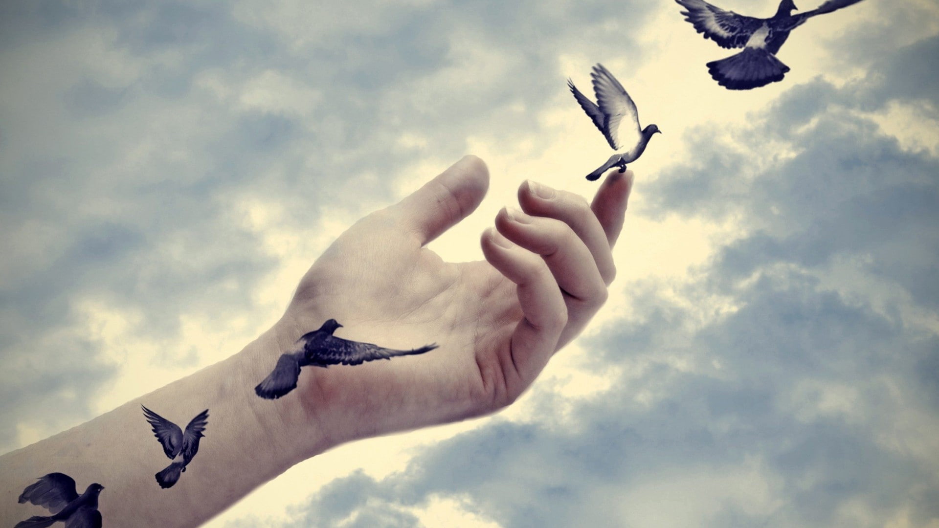 sky, 1080P, flying, clouds, artwork, fingers, hands, photo manipulation, birds, HD Wallpaper