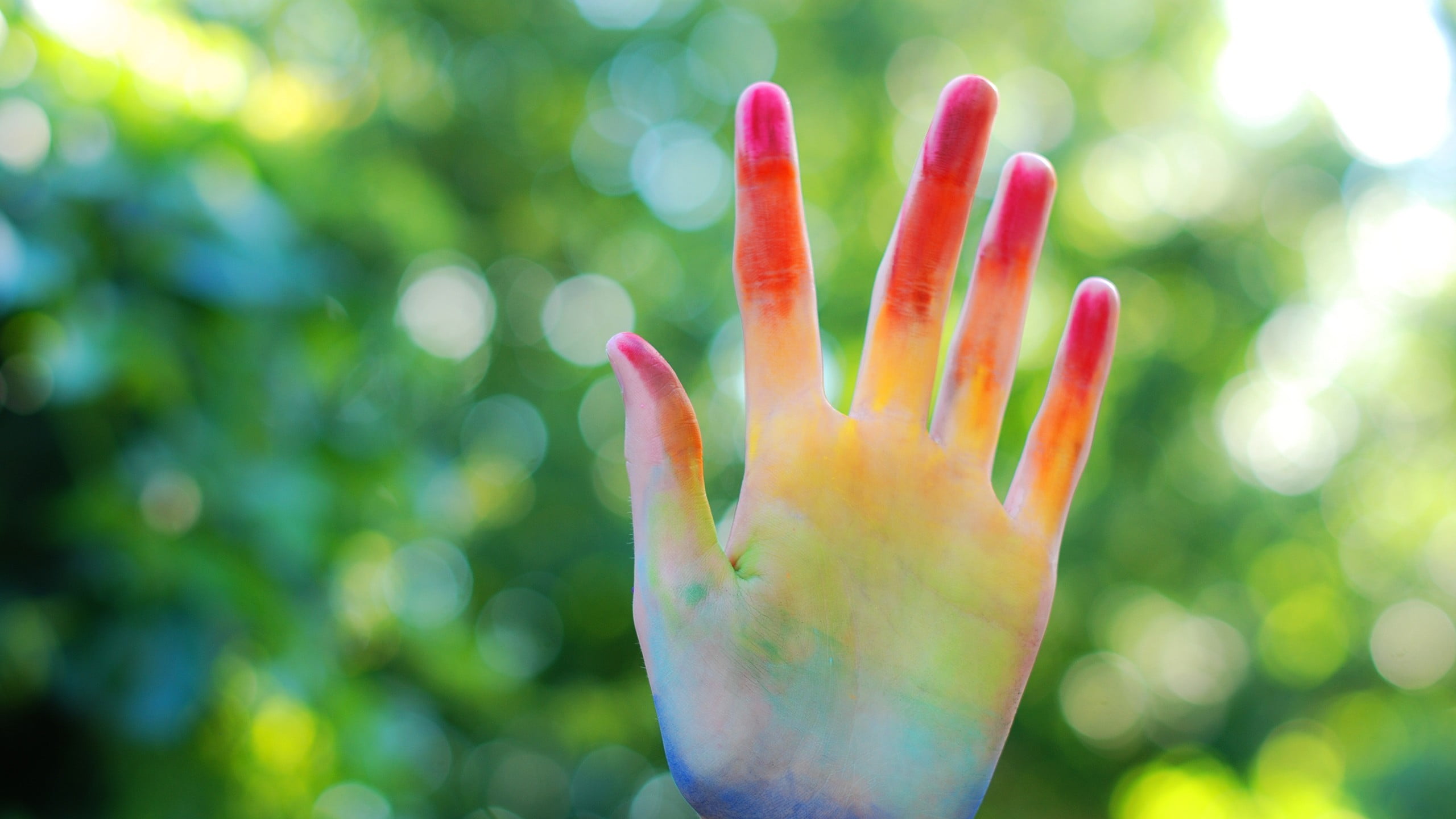 left, vulnerability, hands, nature, human body part, growth, plant, one person, beauty in nature, day, flower, body part, selective focus, colorful, hand, HD Wallpaper