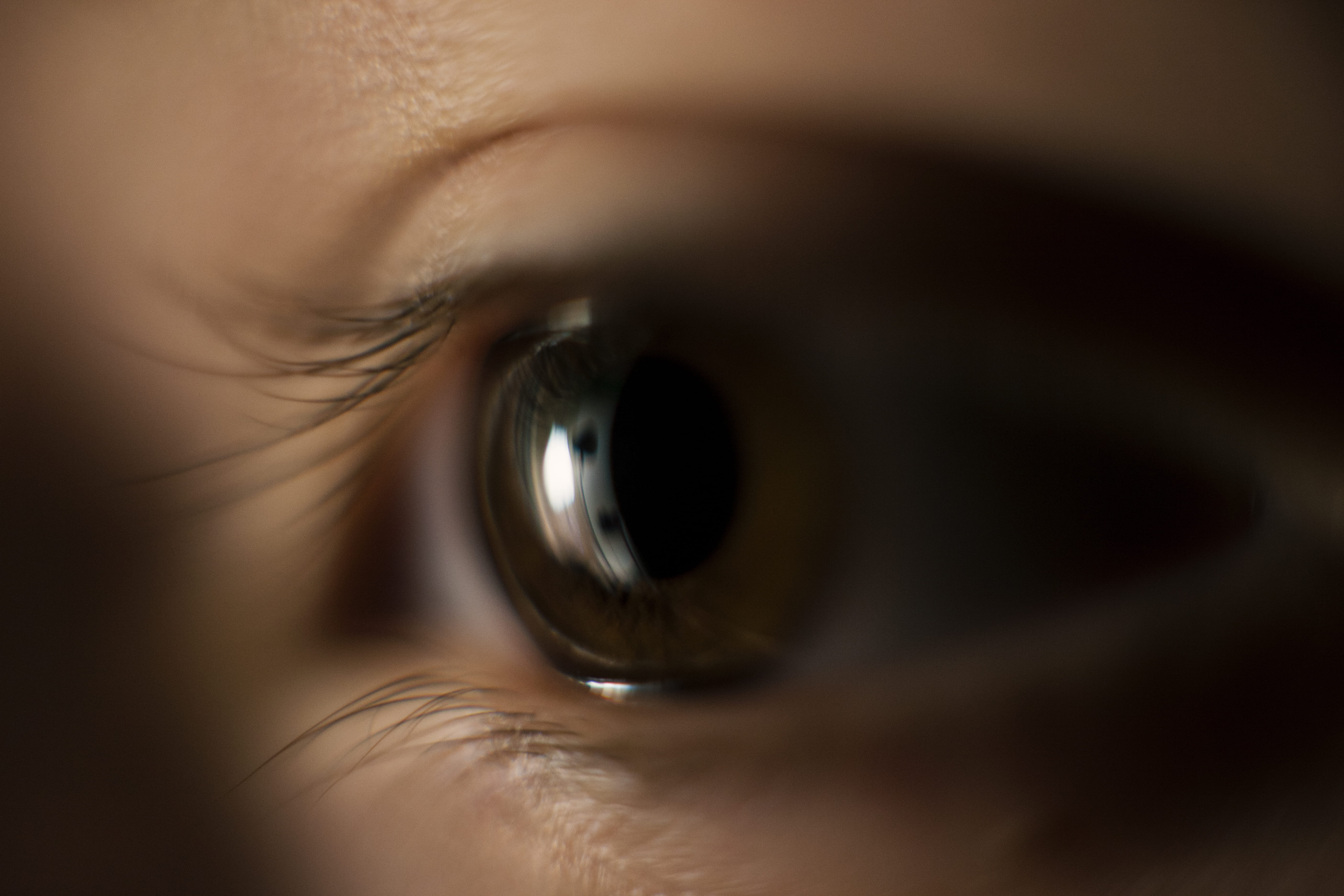 glass, animal, 5K, skin, human body part, looking, human, adult, pencil, eyebrow, contact lens, watching, cardinal, extreme close-up, focus, human face, HD Wallpaper