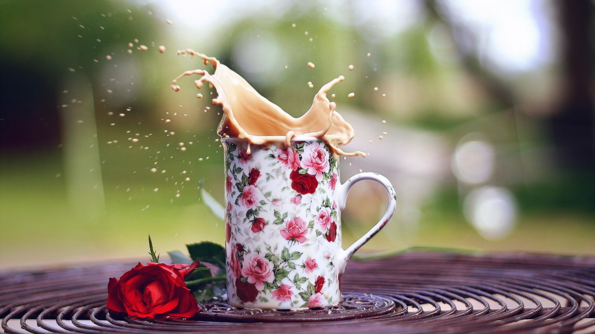 teapot, red, no people, mug, table, food, focus on foreground, plant, refreshment, flowers, motion, nature, flower, rose, beauty in nature, tea cup, coffee, HD Wallpaper