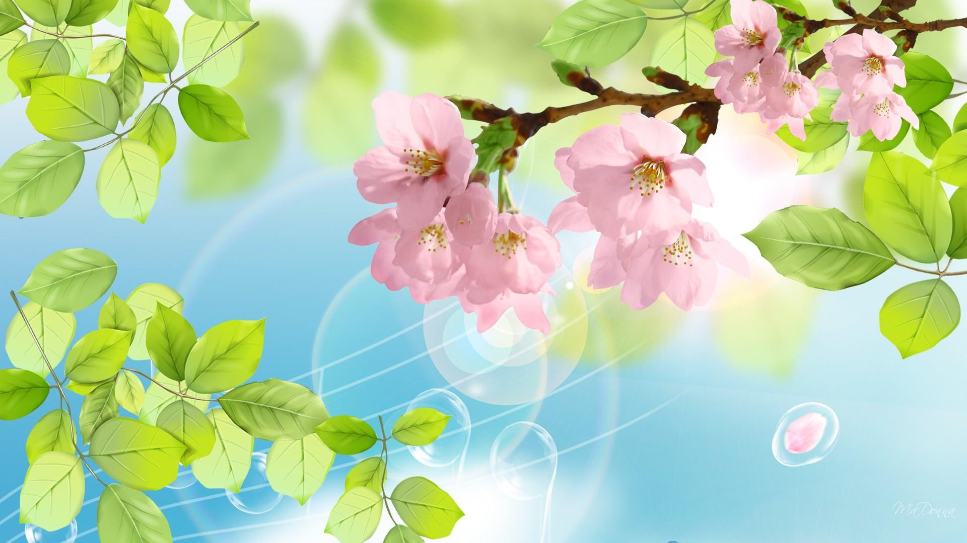 1080P, notes, music graph, spring, sakura, leaves, cherry bloxxoms, bubbles, music, petals, 3d and abstract, HD Wallpaper