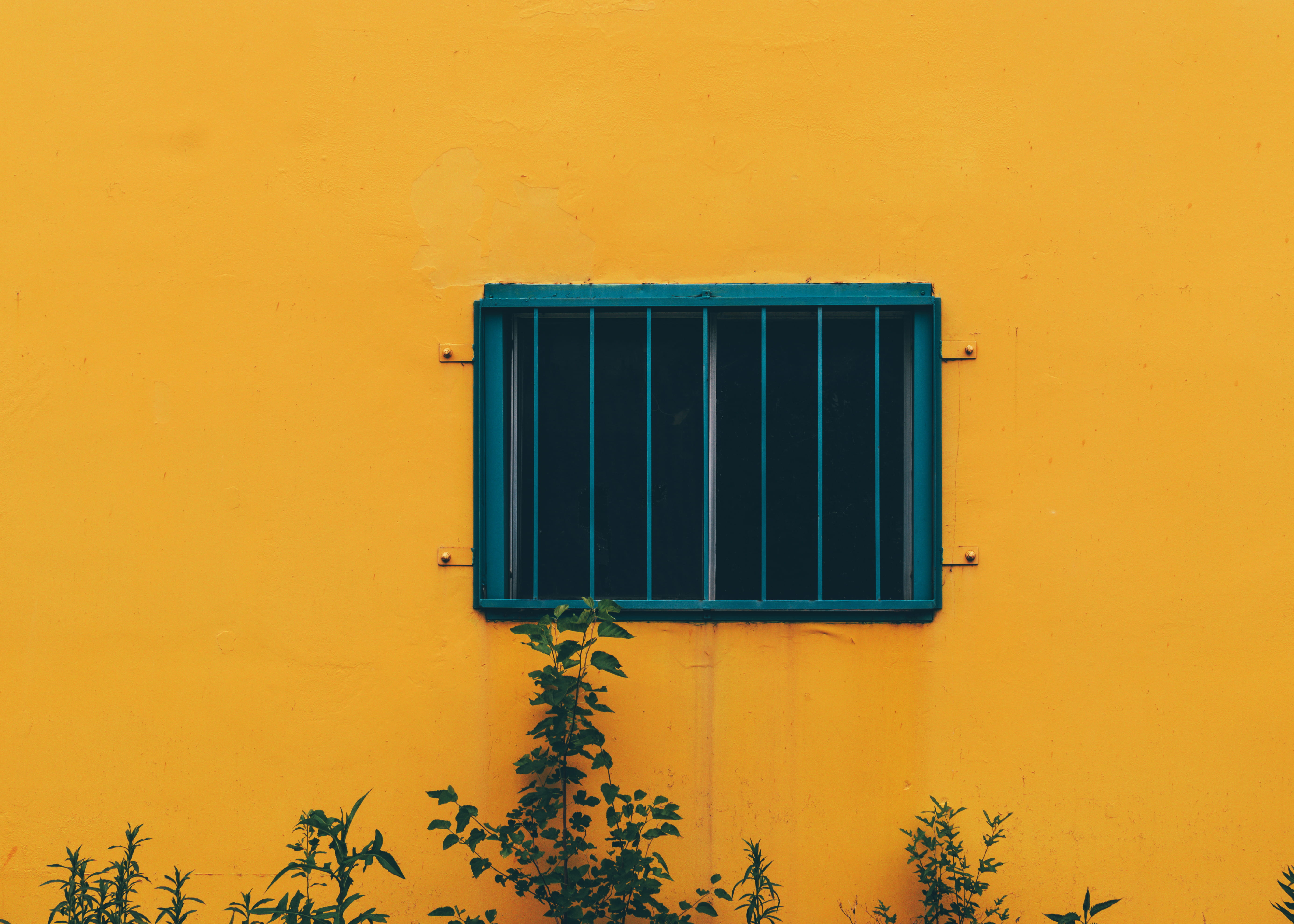 outdoors, black, residential district, house, beside, 5K, frame, orange color, color, extrawalldinary, exterior, blue, metal, geometric shape, nature, HD Wallpaper